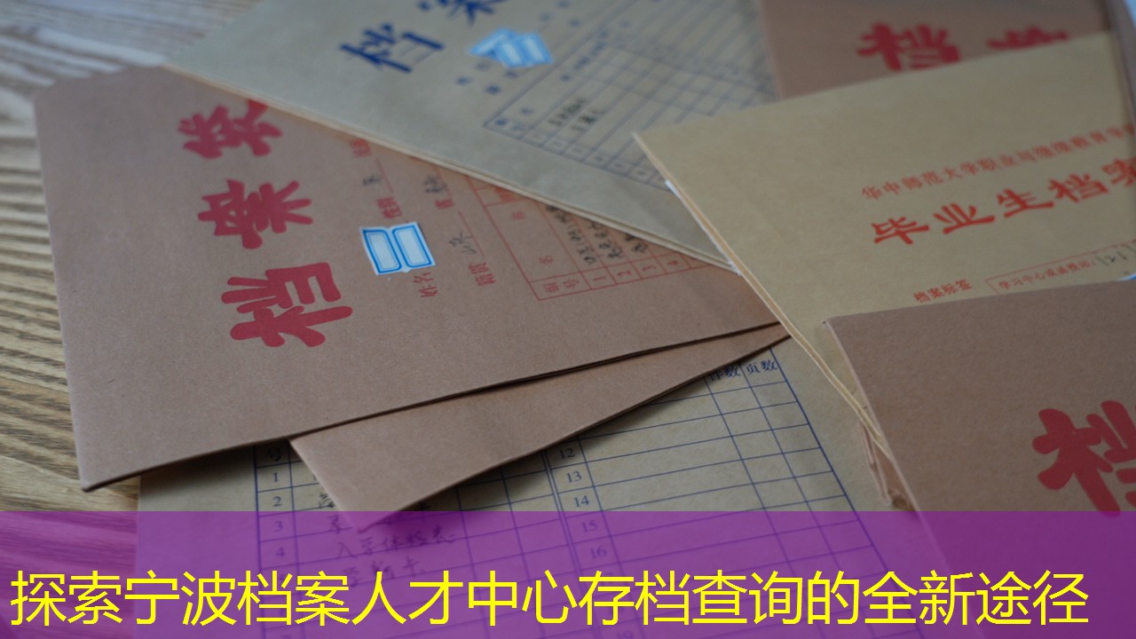 档案查询
