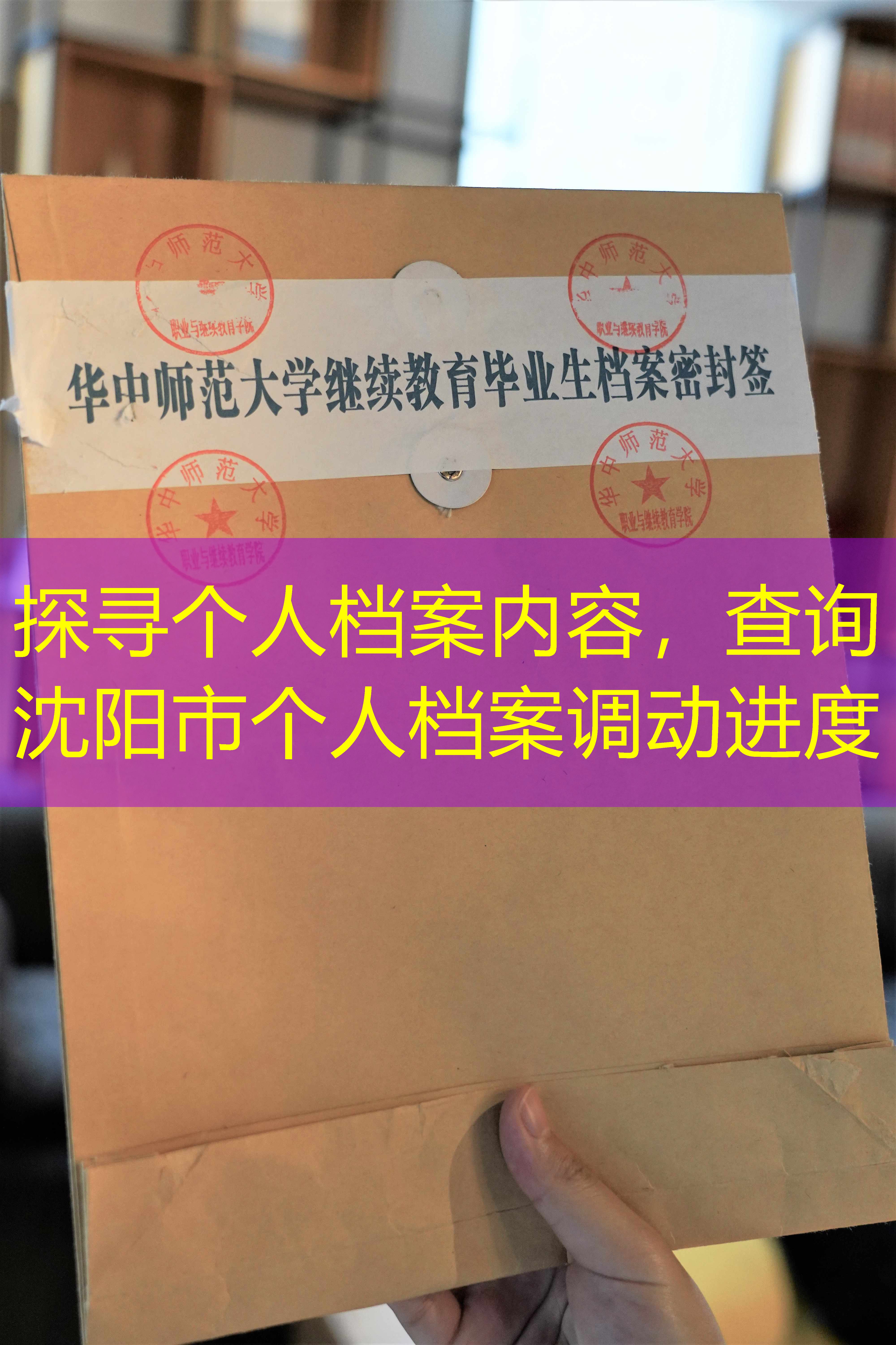 档案查询