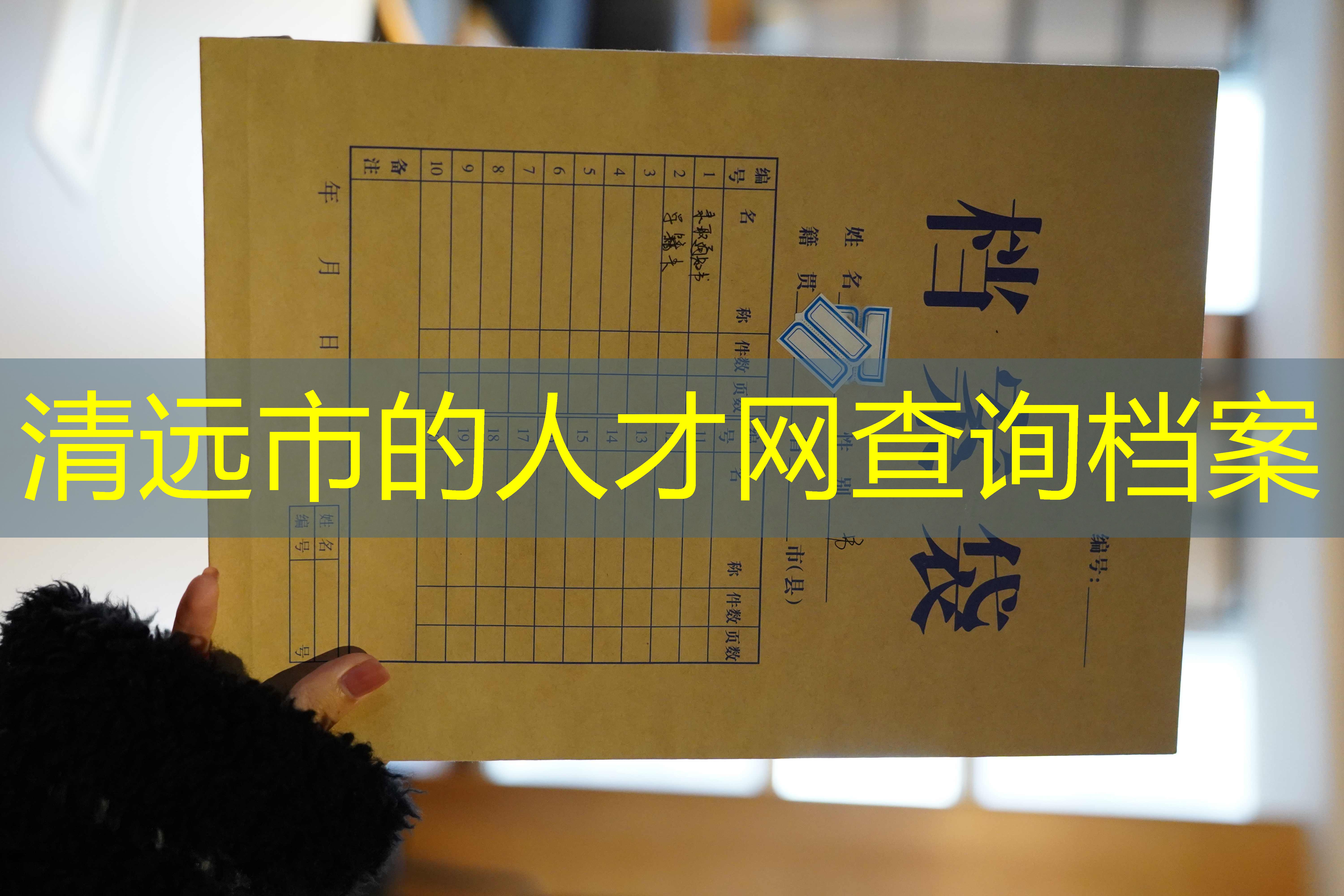 档案查询