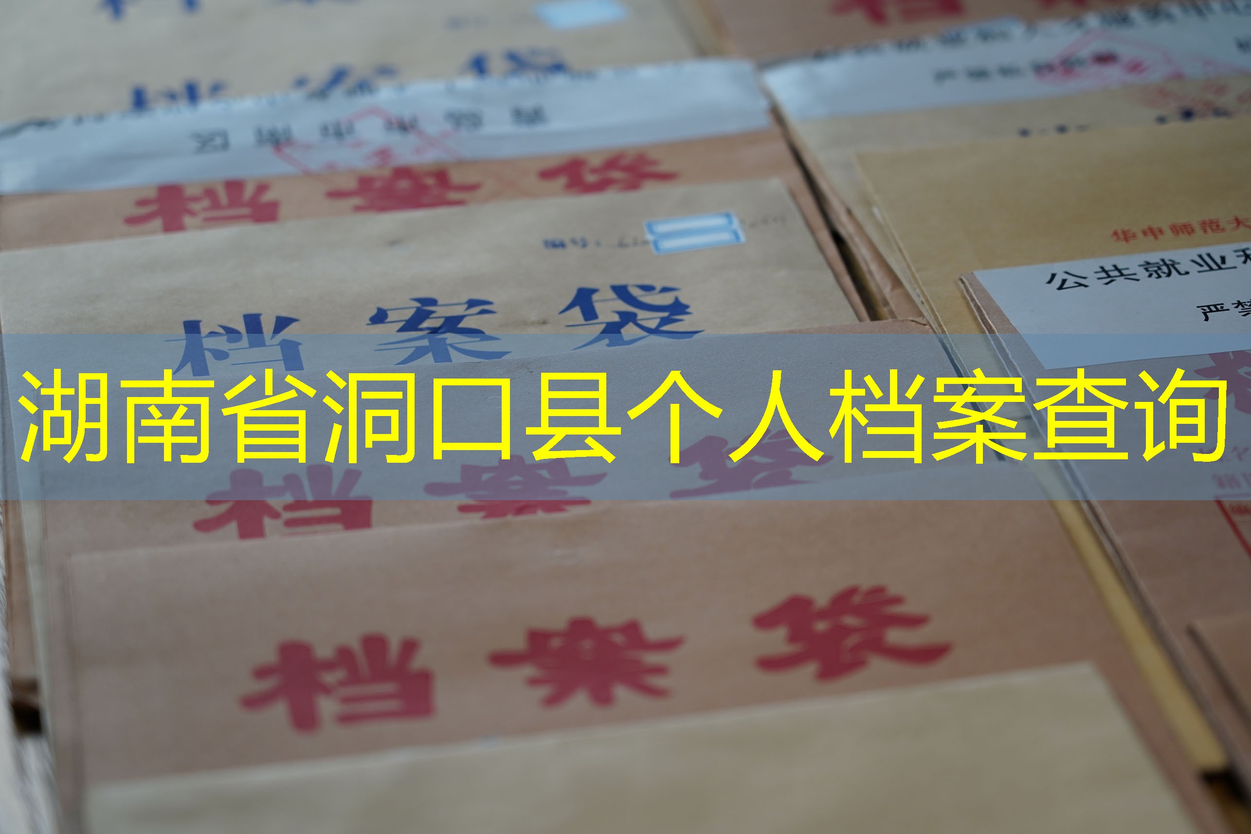 档案查询