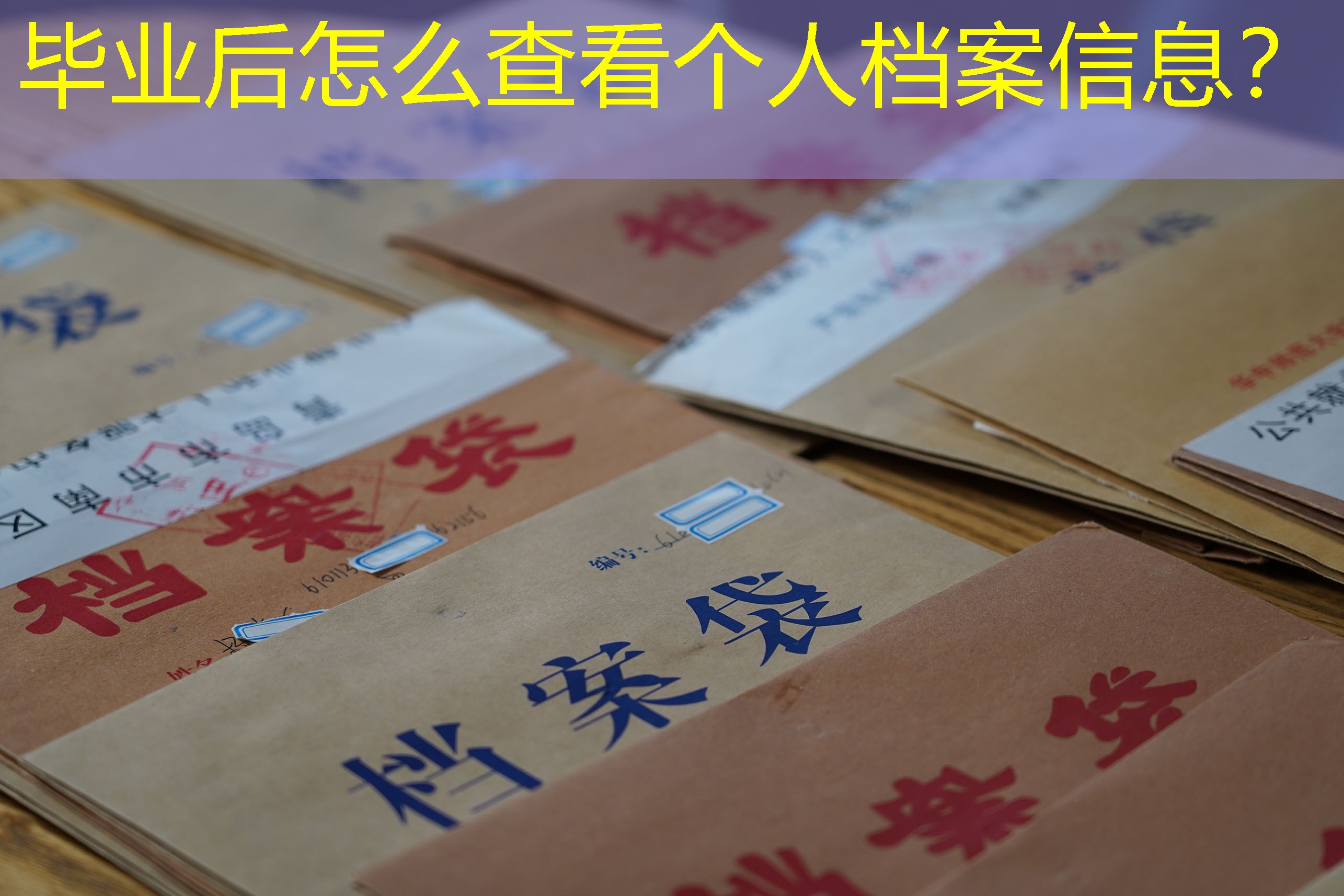 档案查询