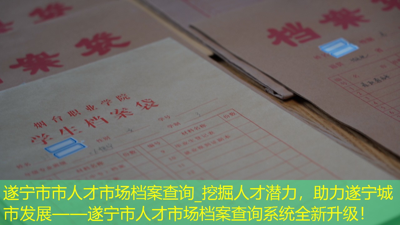 档案查询