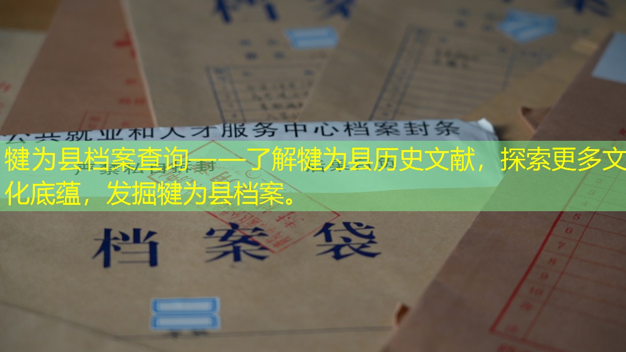 档案查询