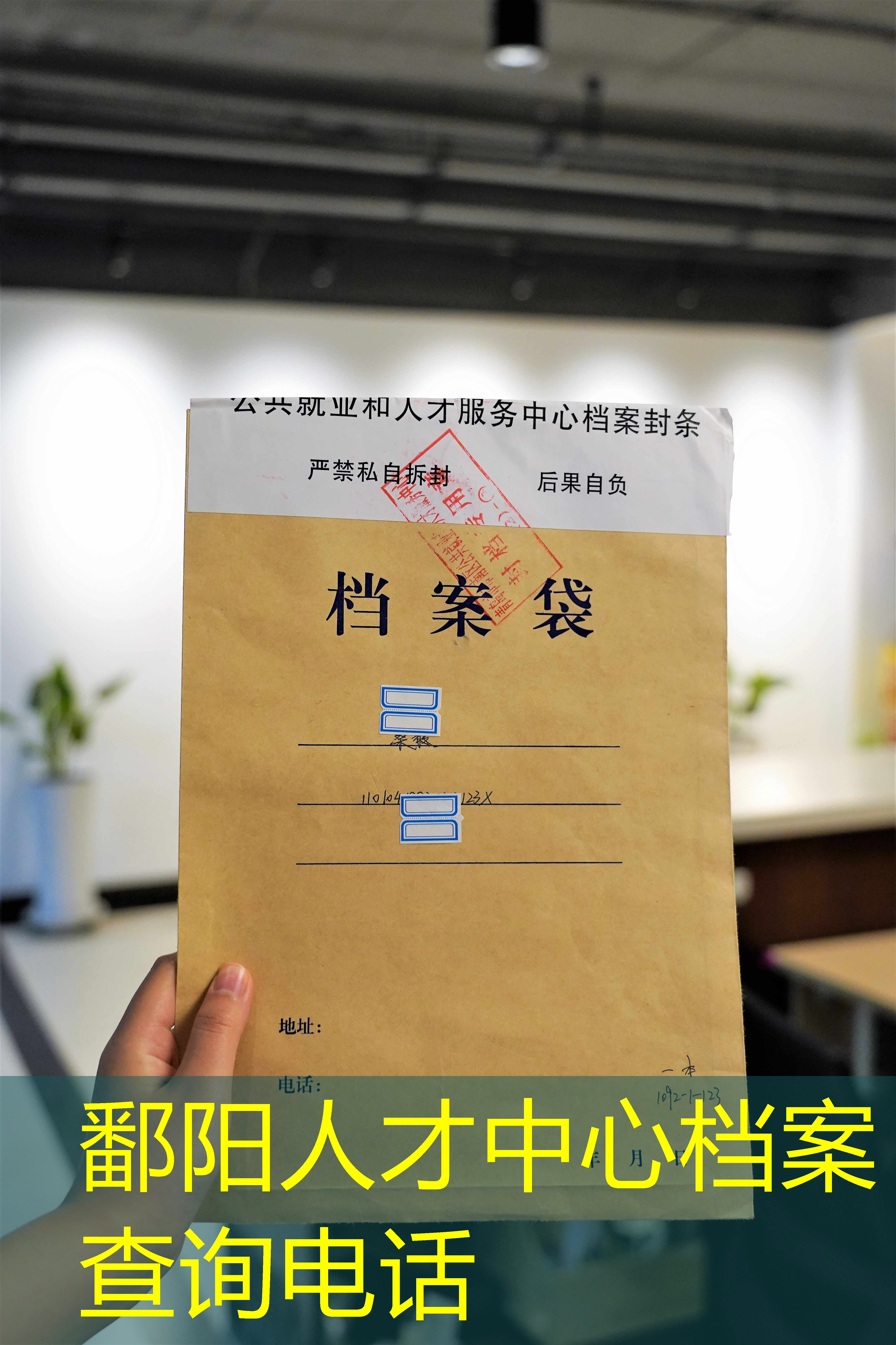 档案查询