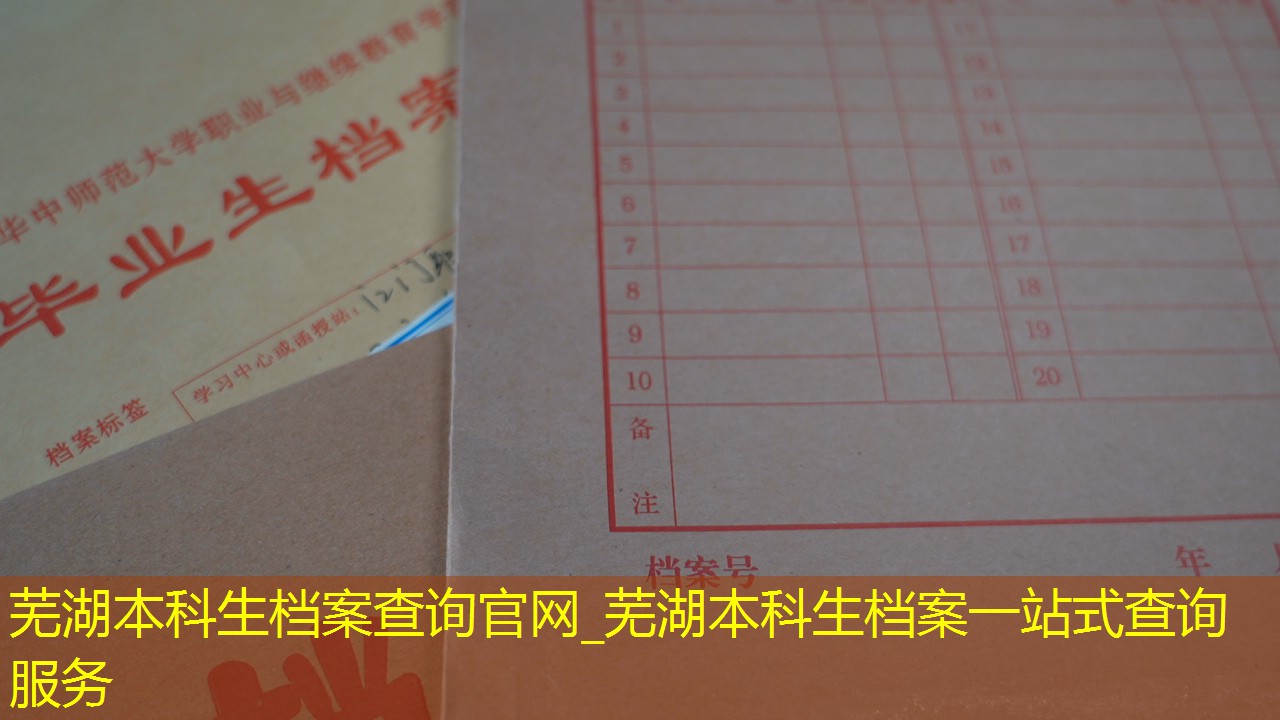 档案查询