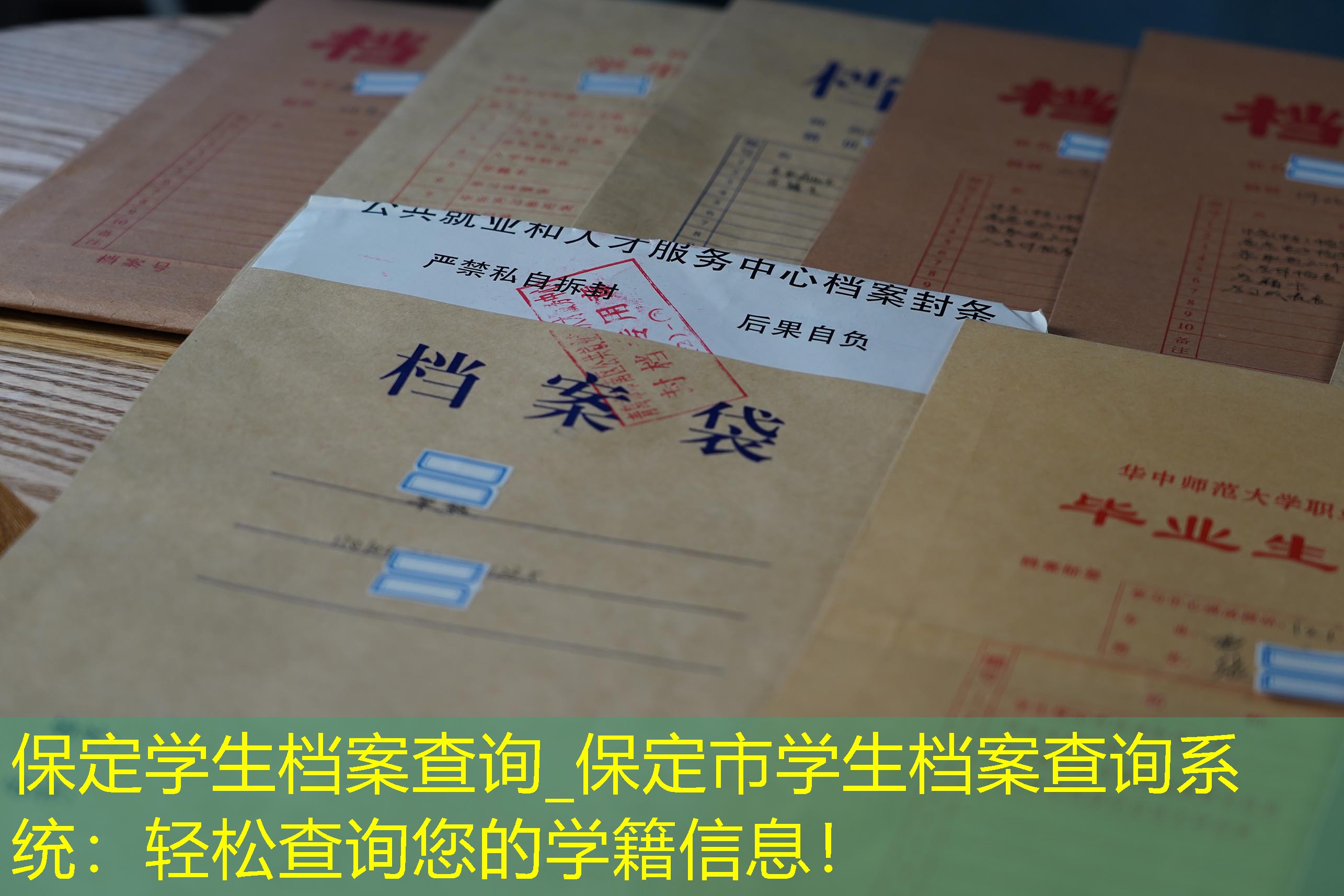 档案查询