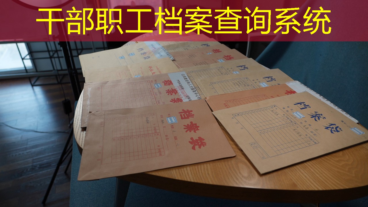 档案查询