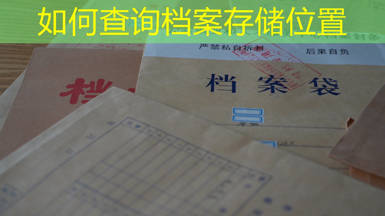档案查询