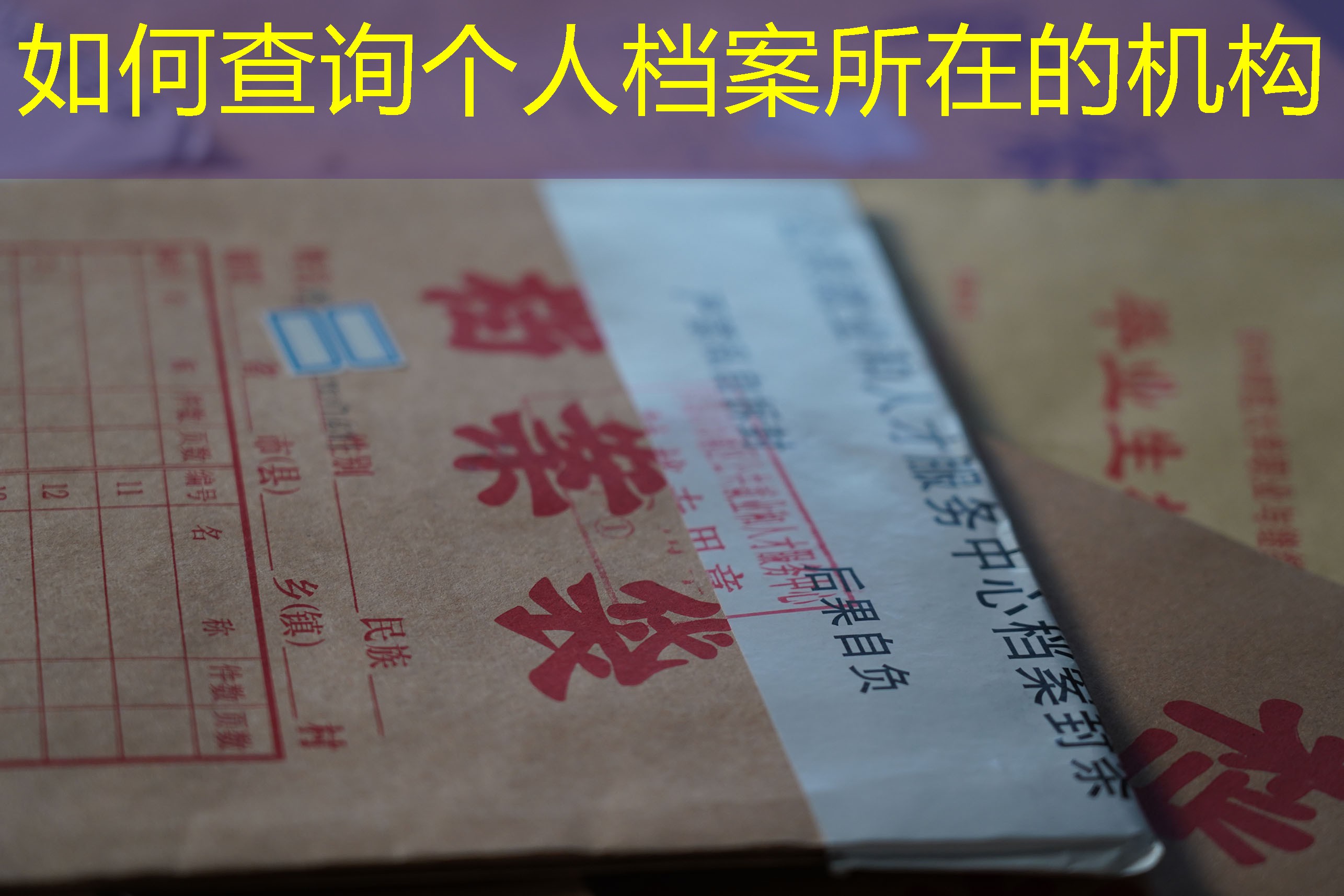 档案查询