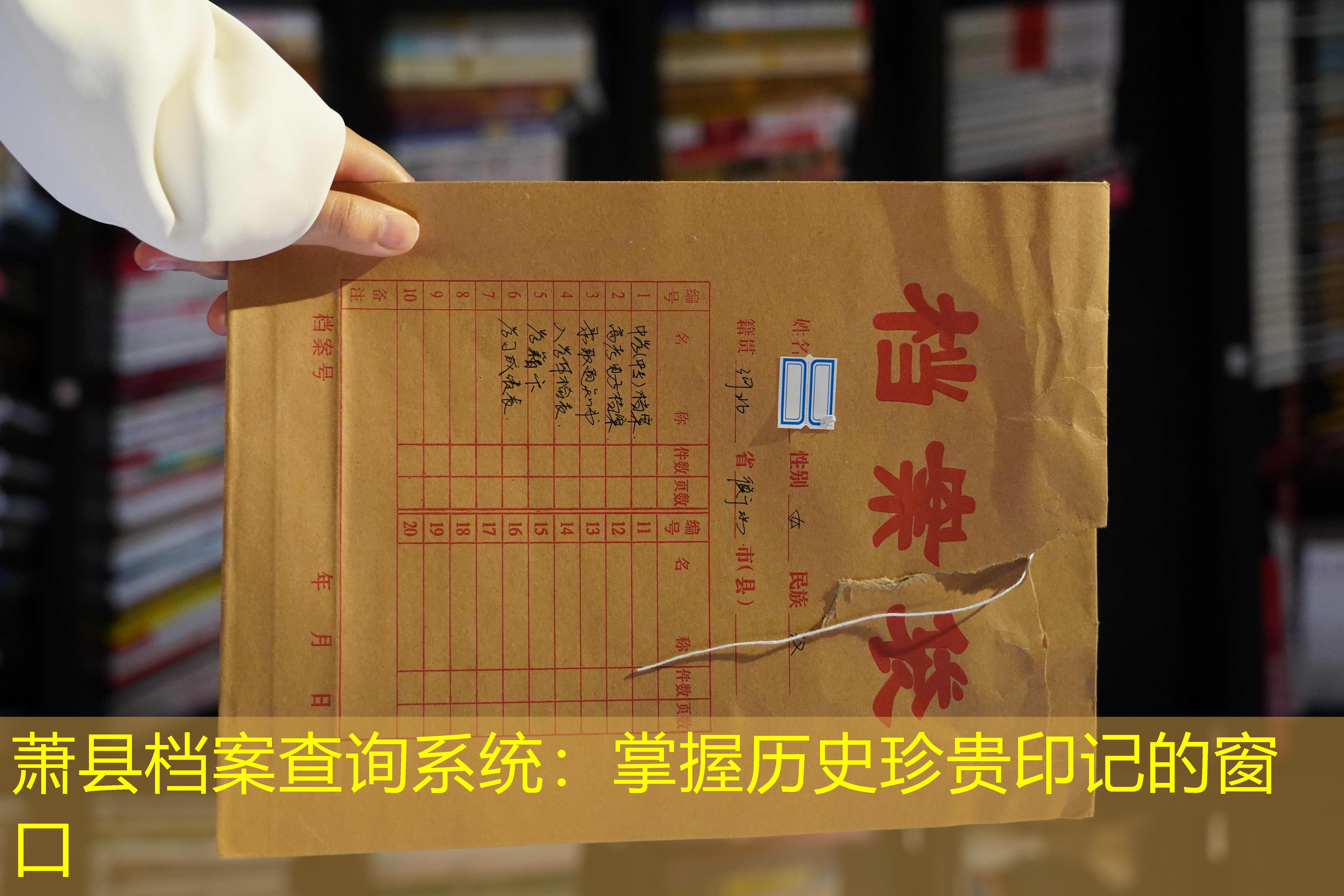 档案查询