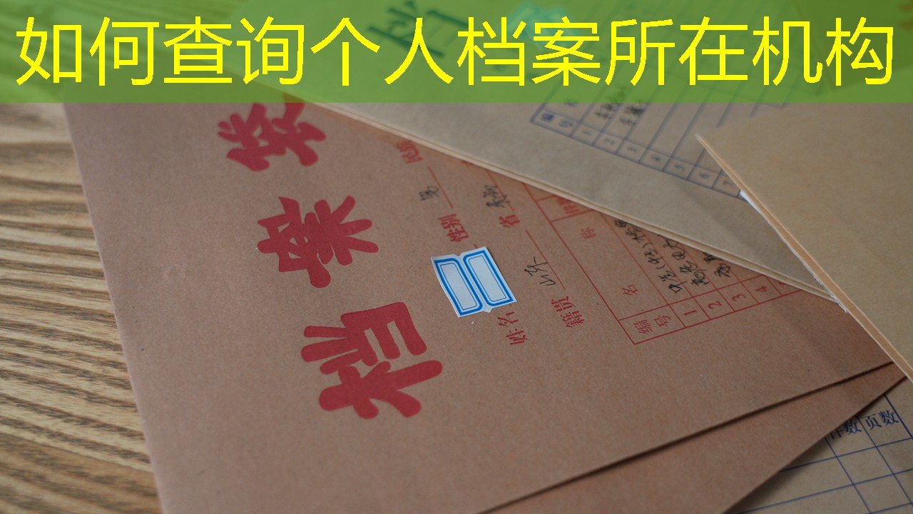 档案查询