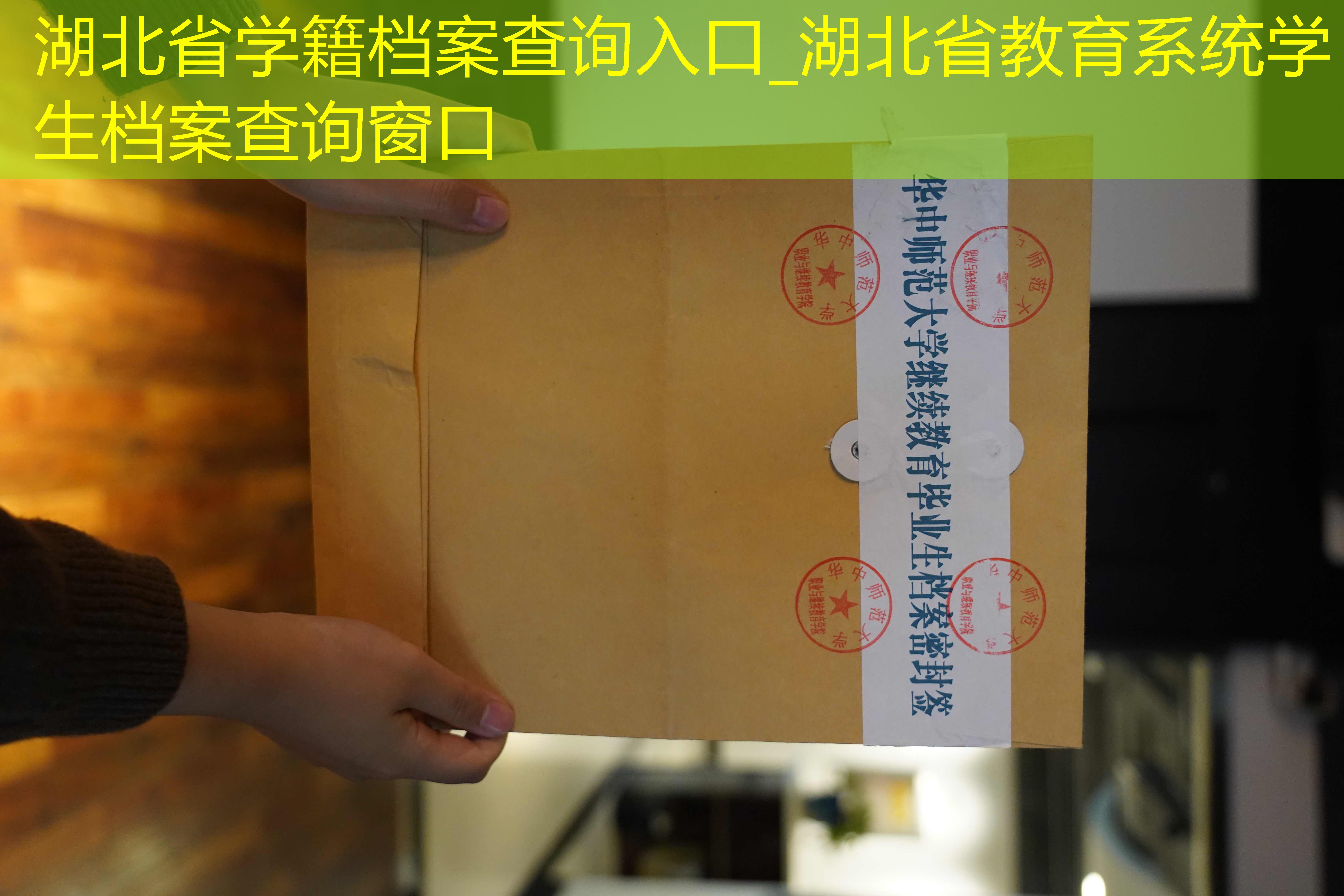 档案查询