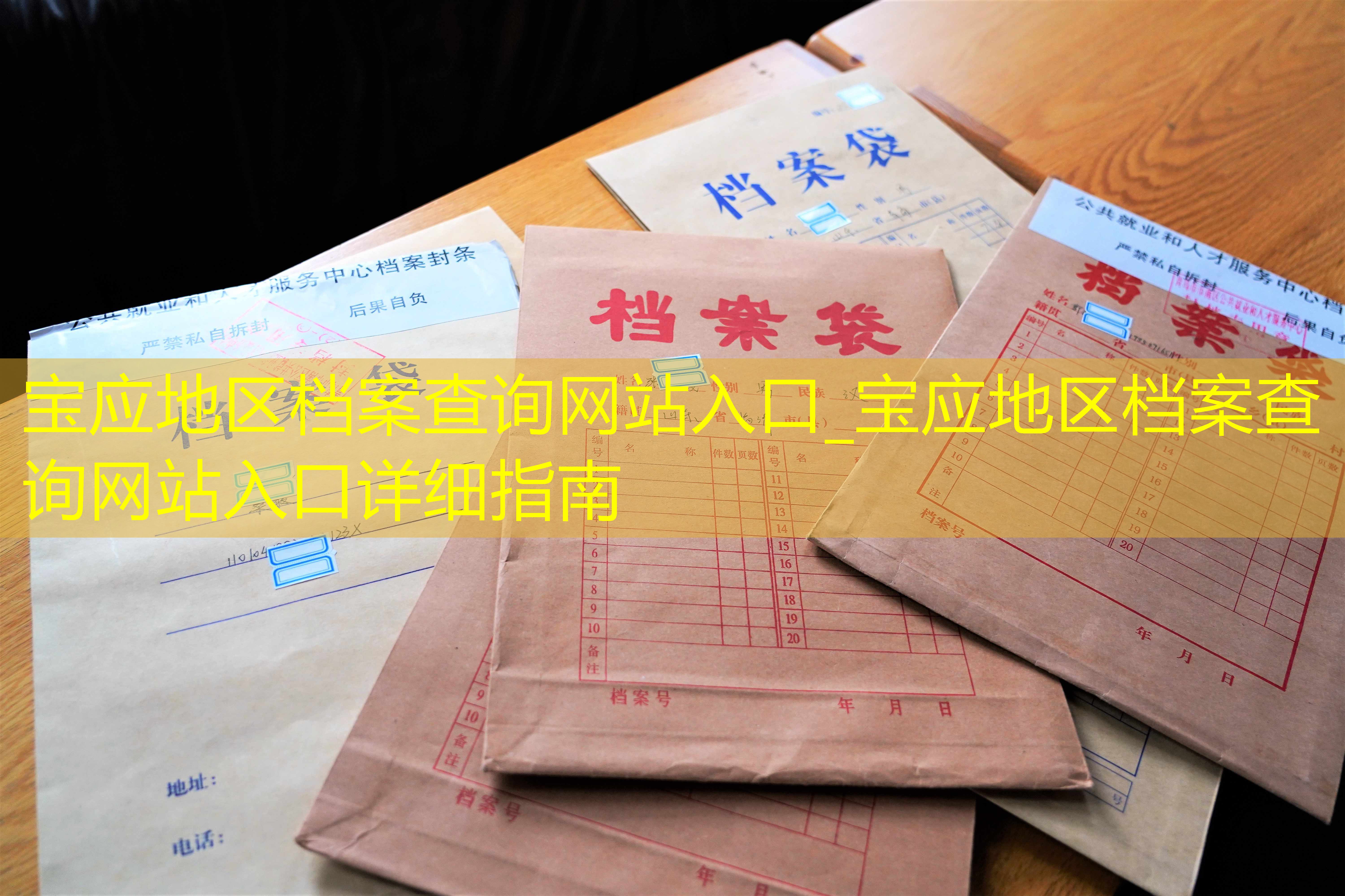 档案查询