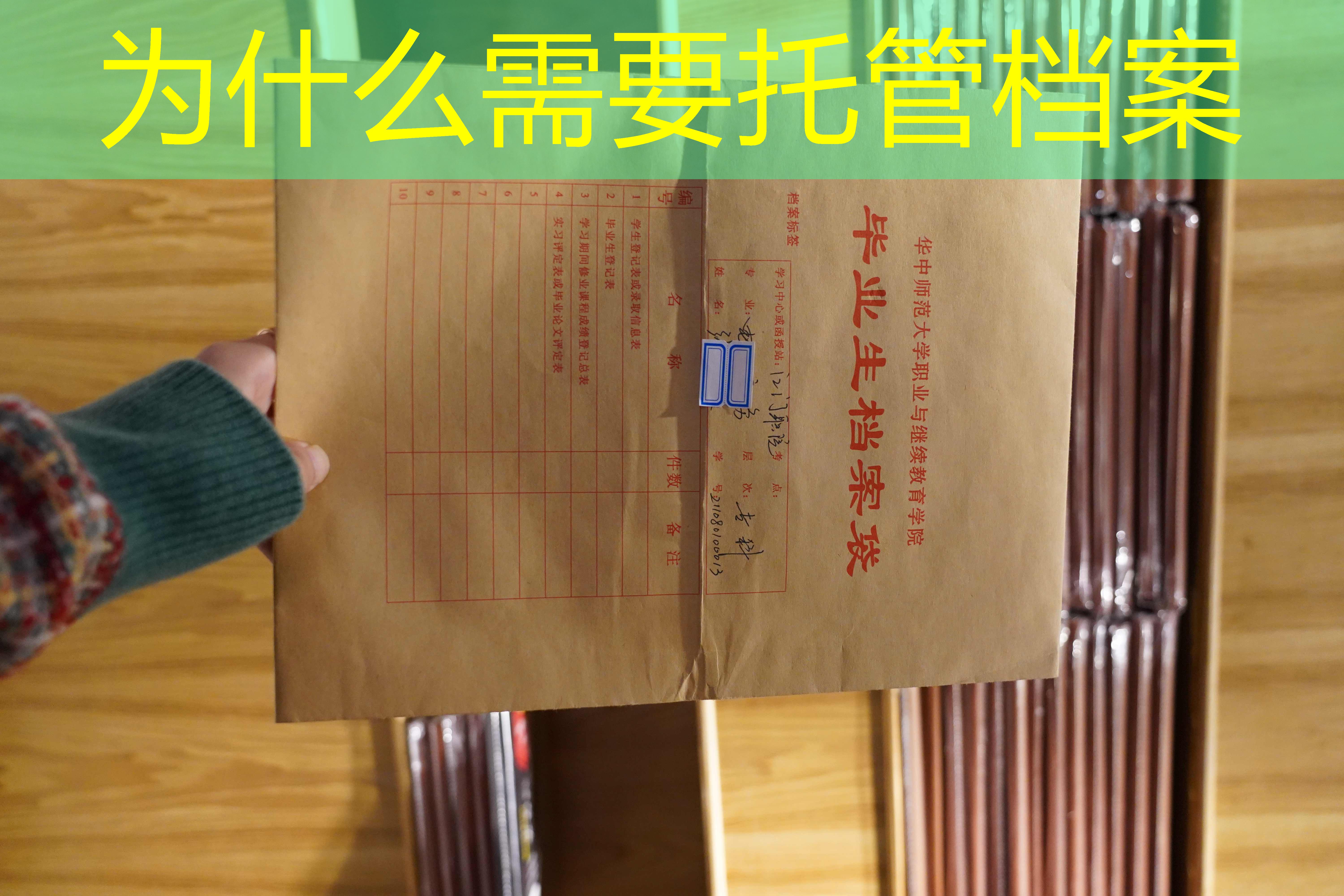 档案查询