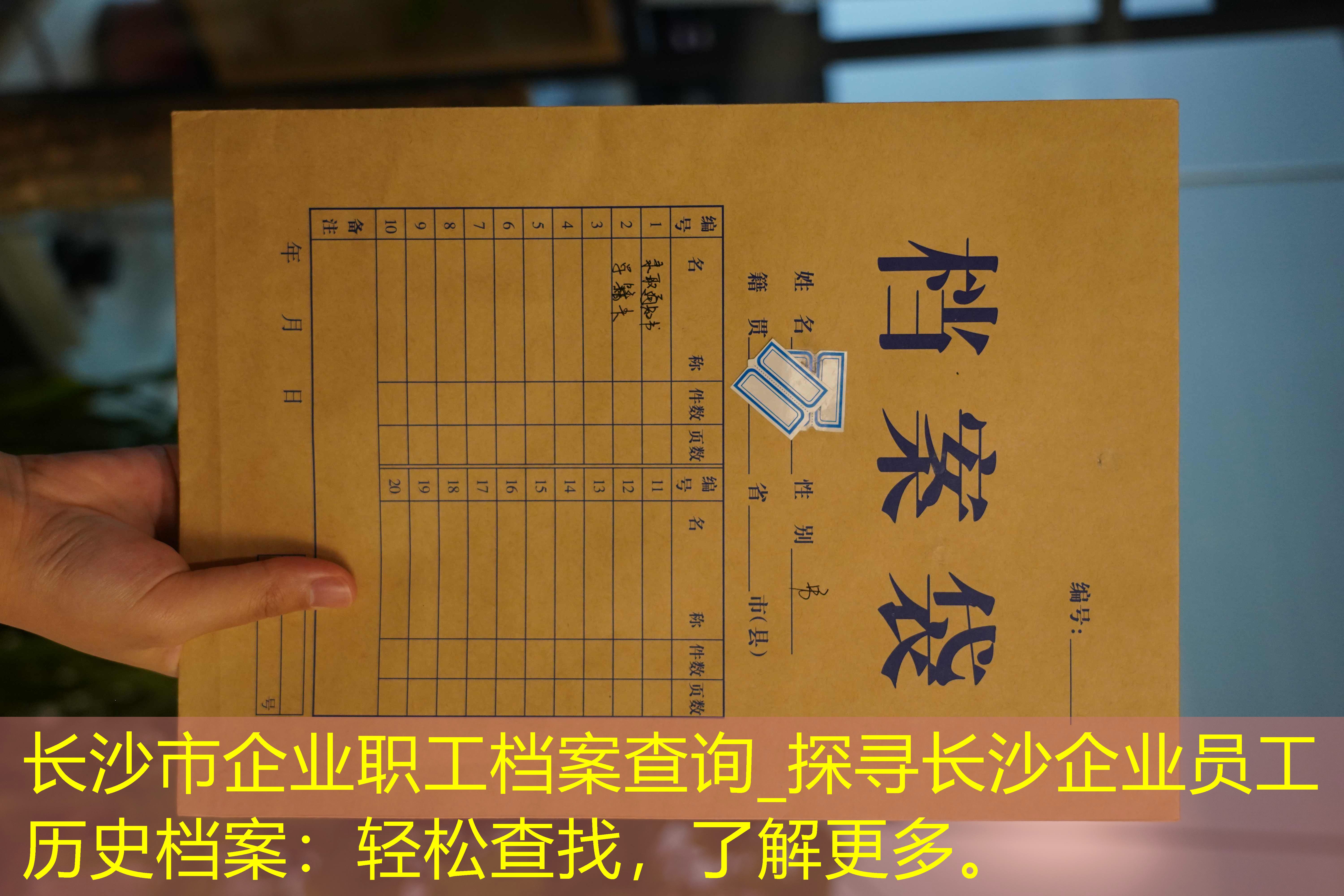 档案查询