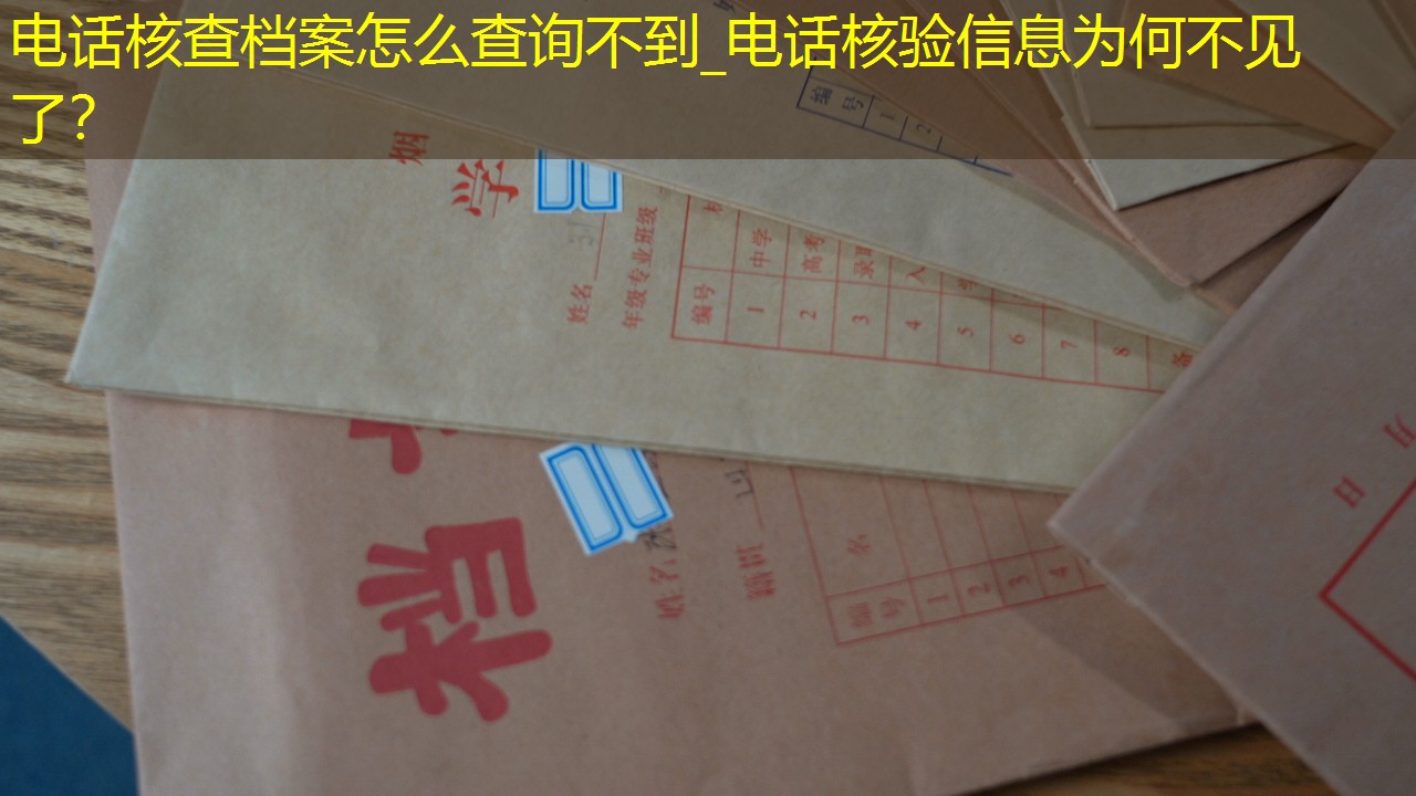档案查询