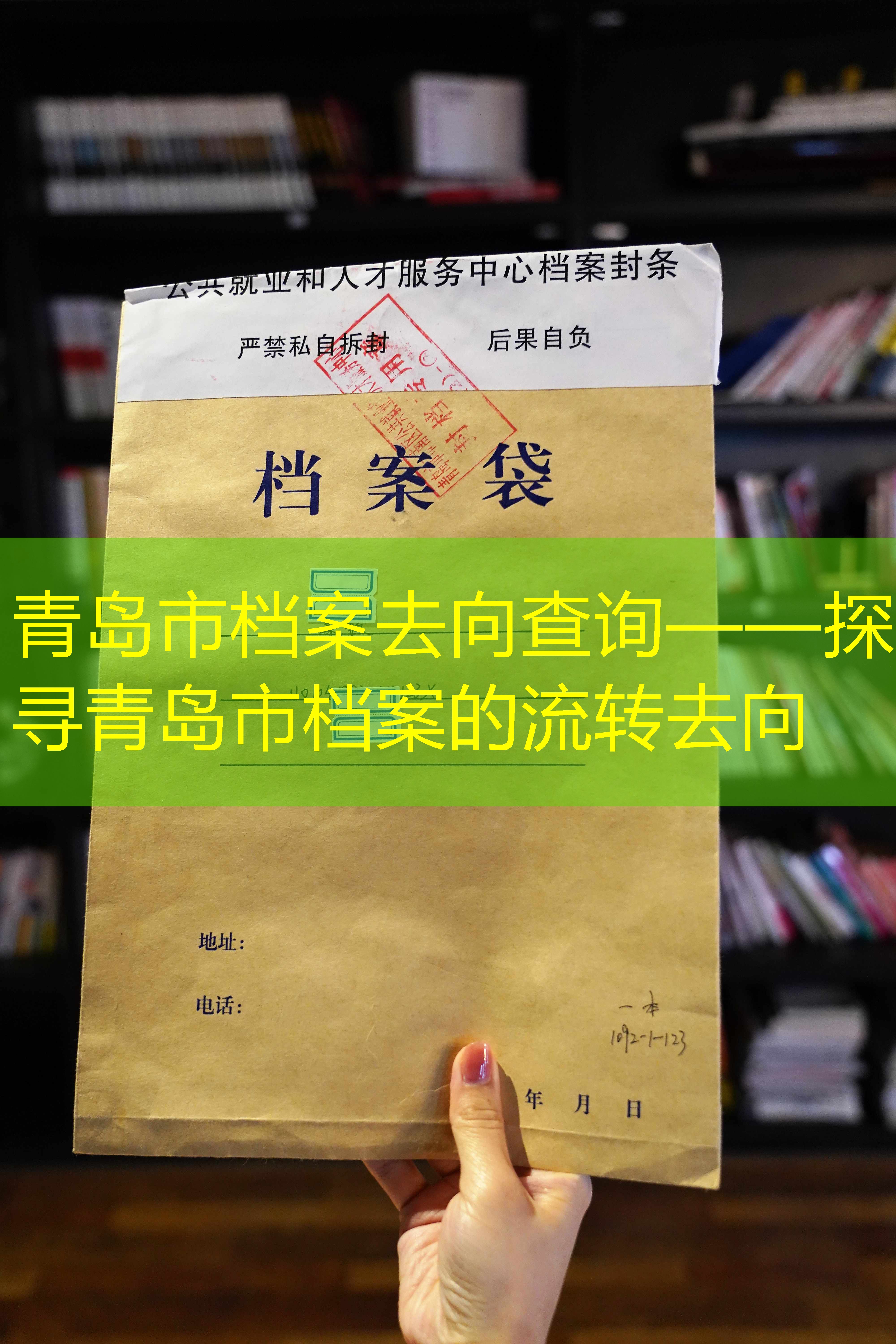档案查询