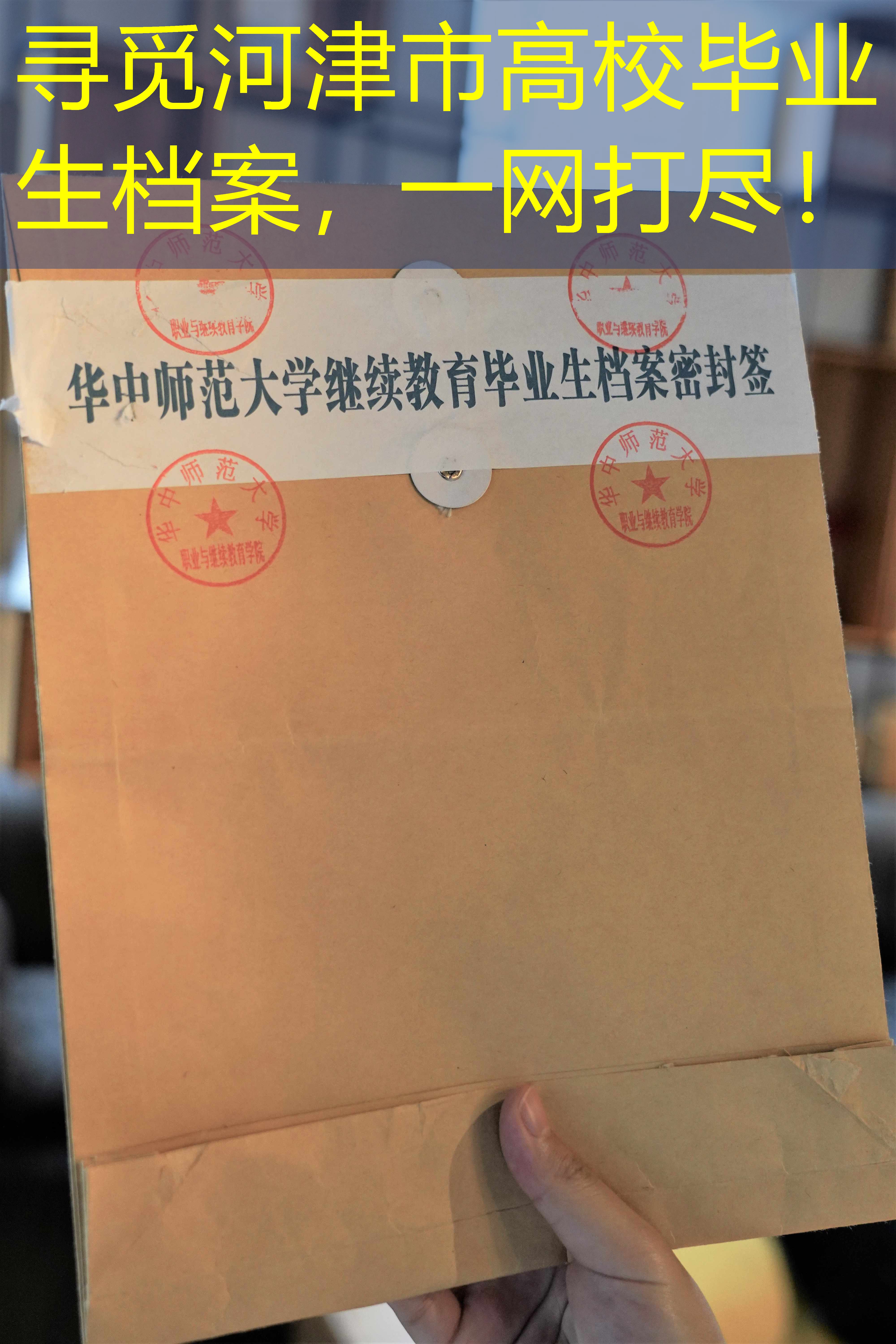 档案查询
