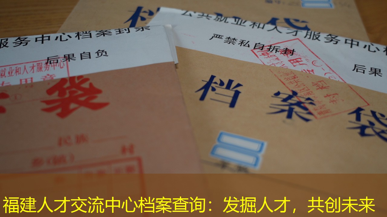 档案查询