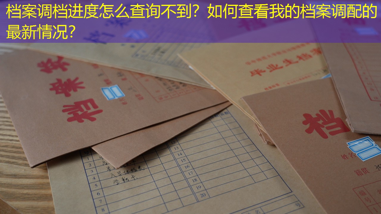 档案查询