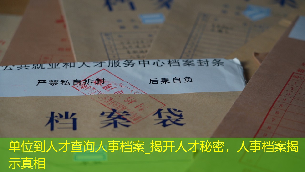 档案查询