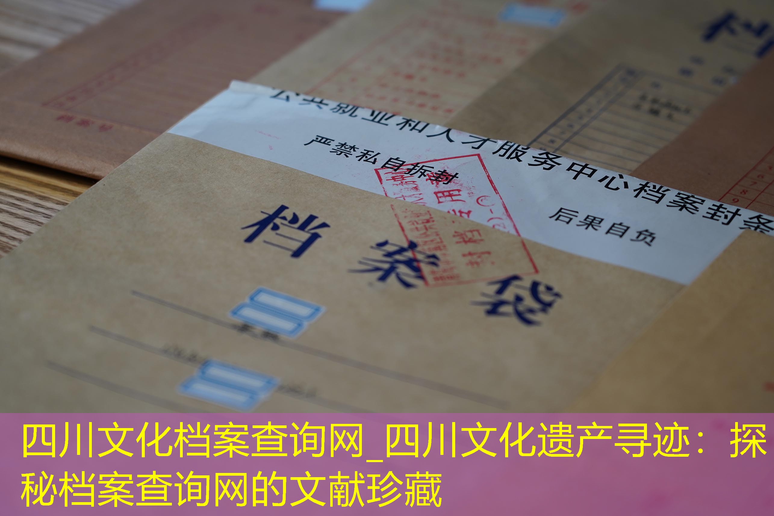 档案查询