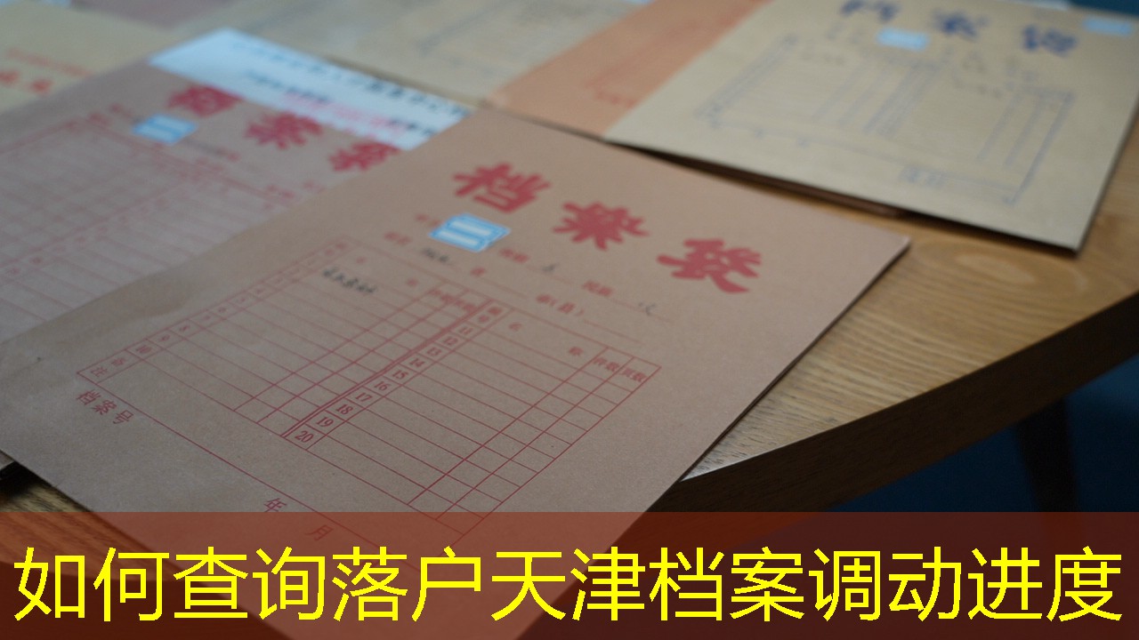档案查询