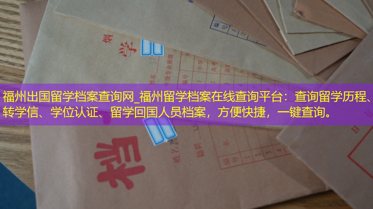 档案查询