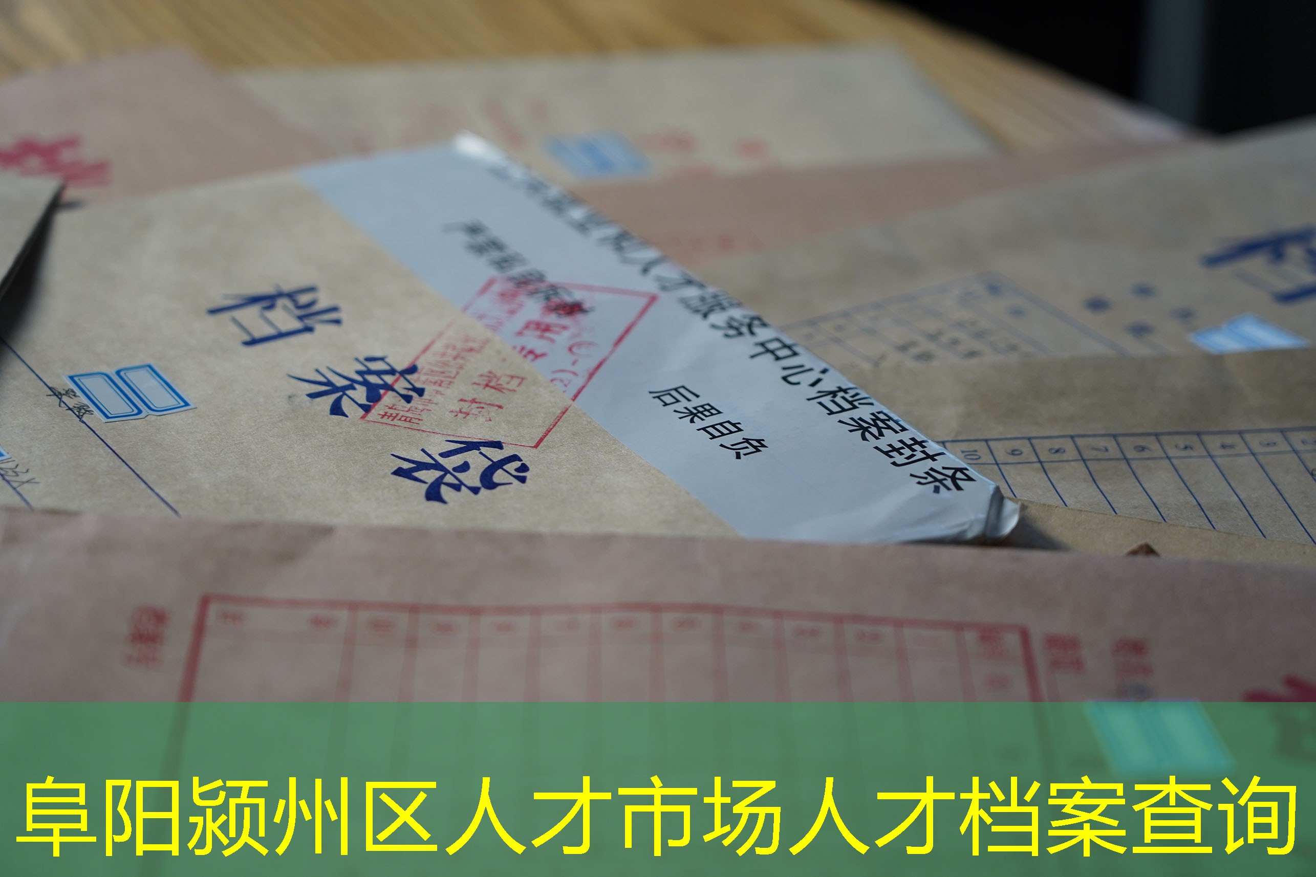 档案查询