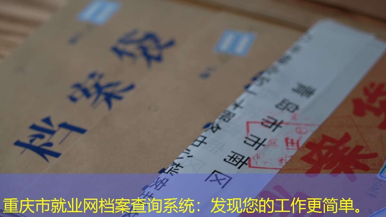 档案查询