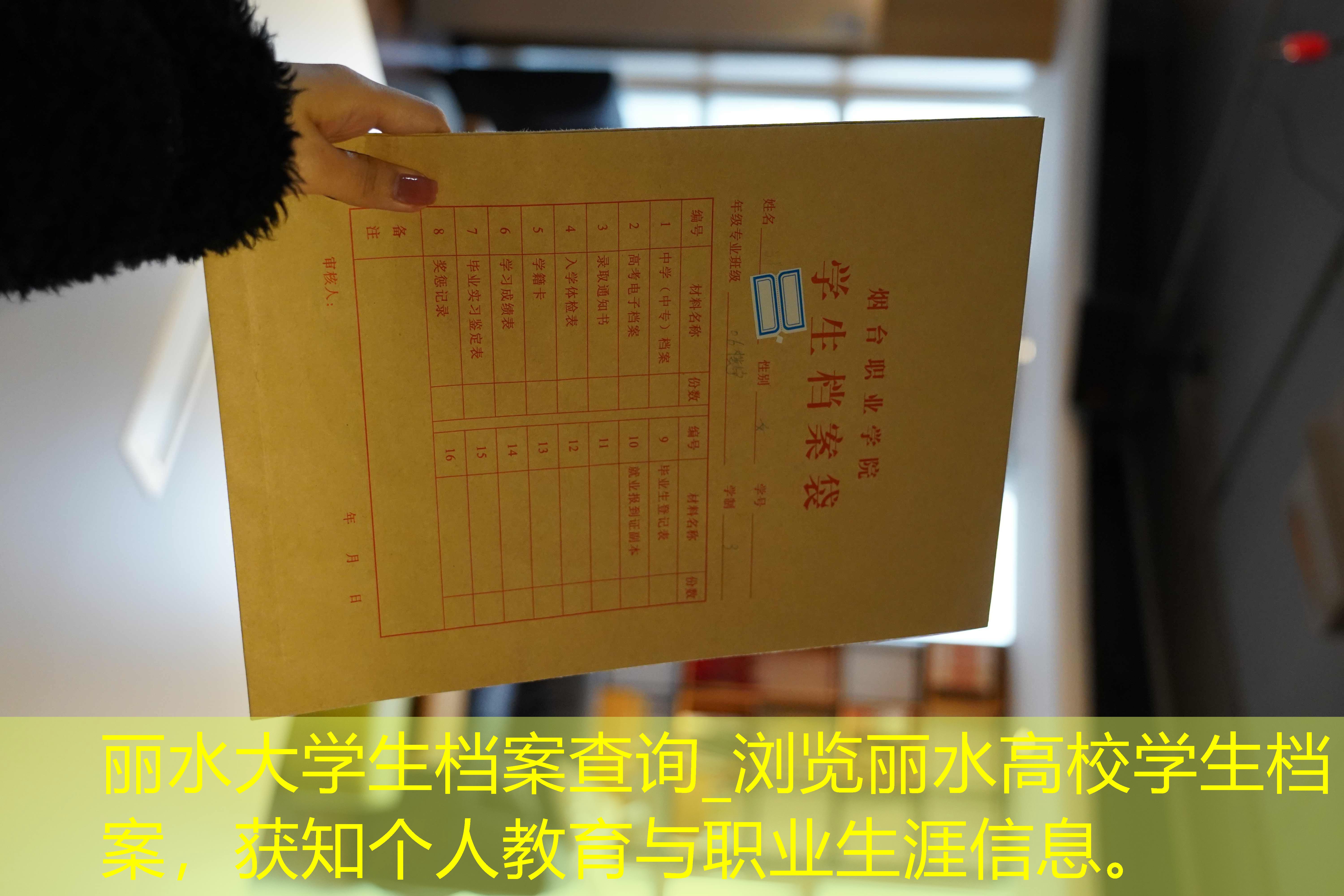 档案查询