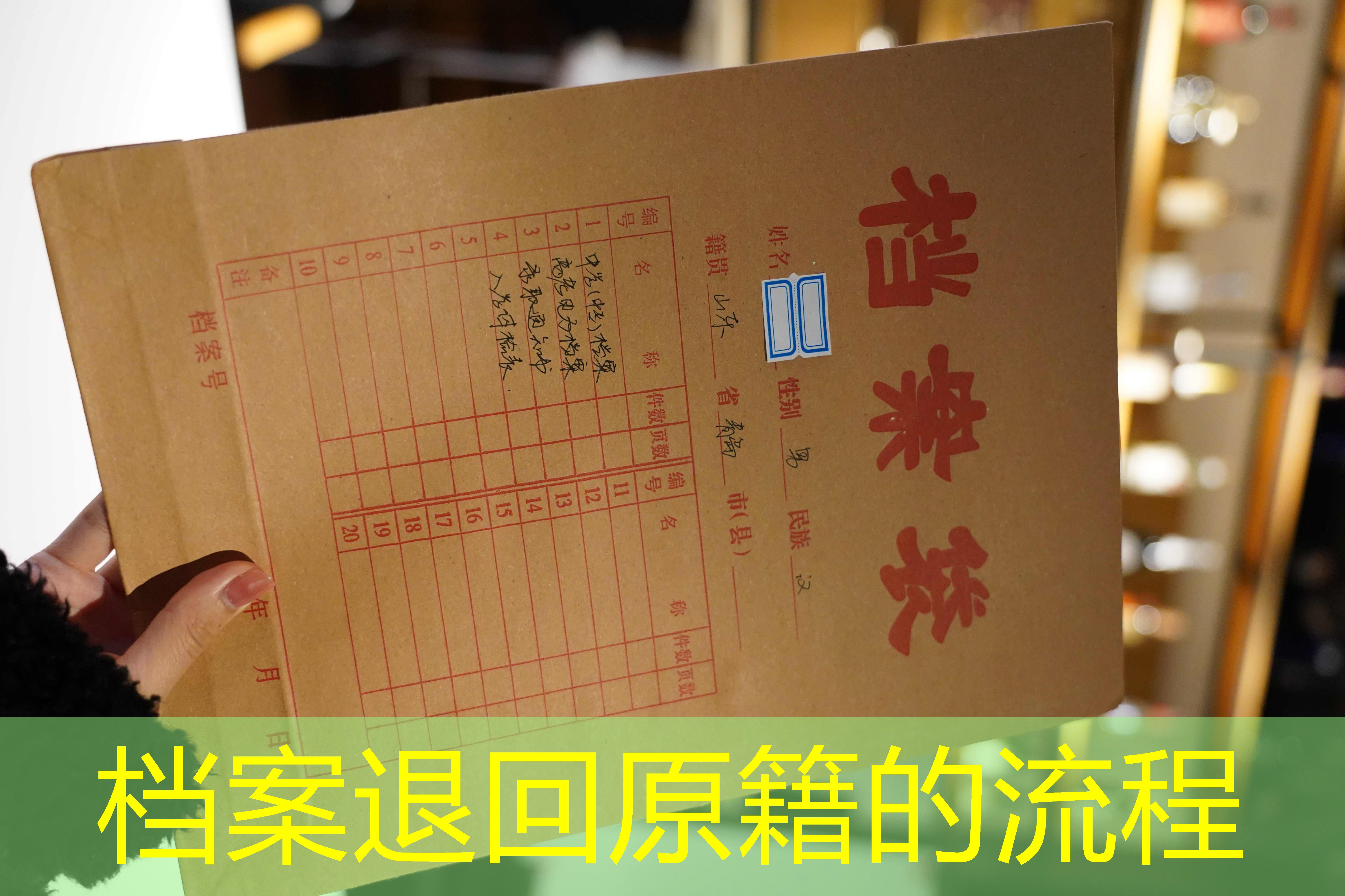 档案查询