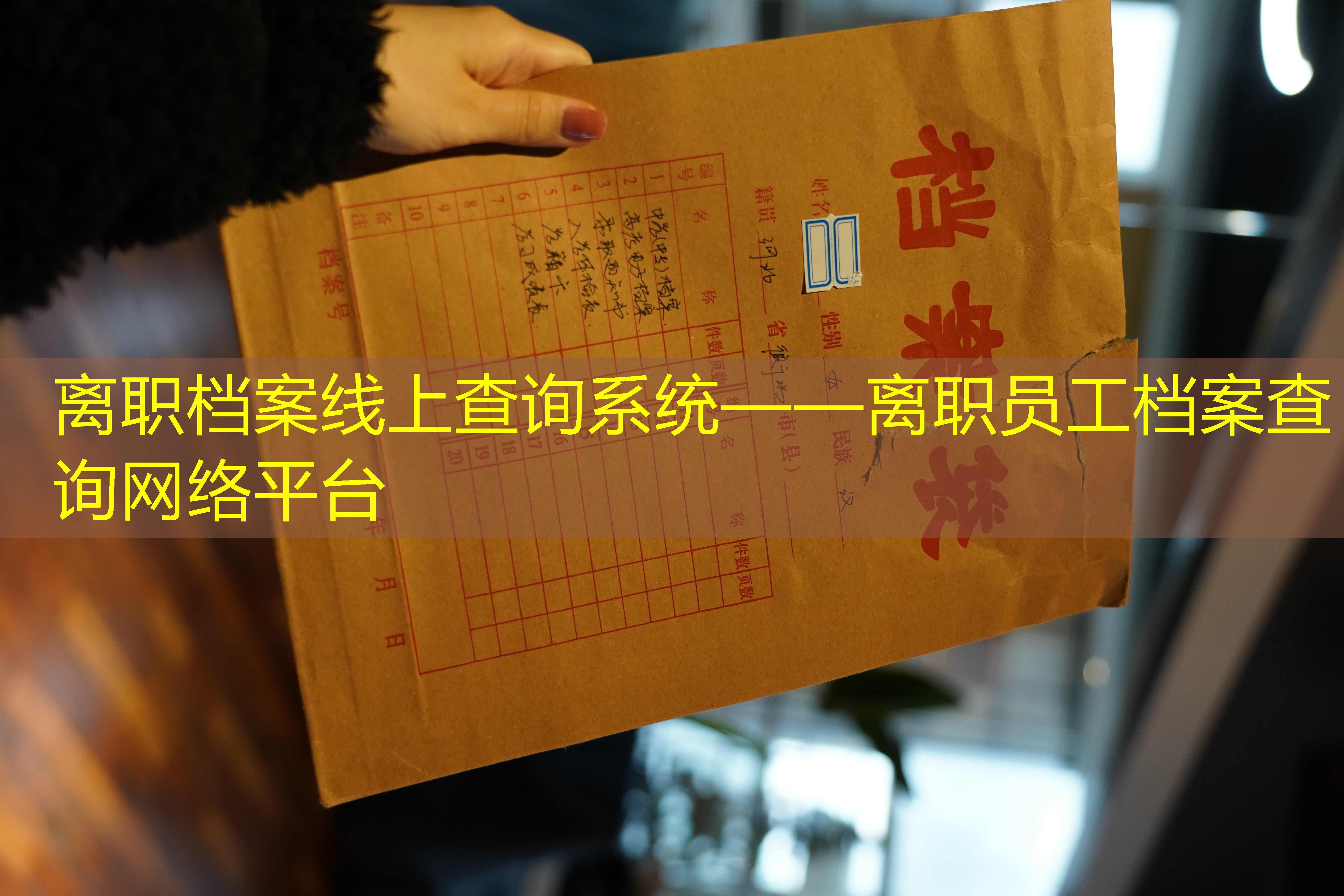 档案查询