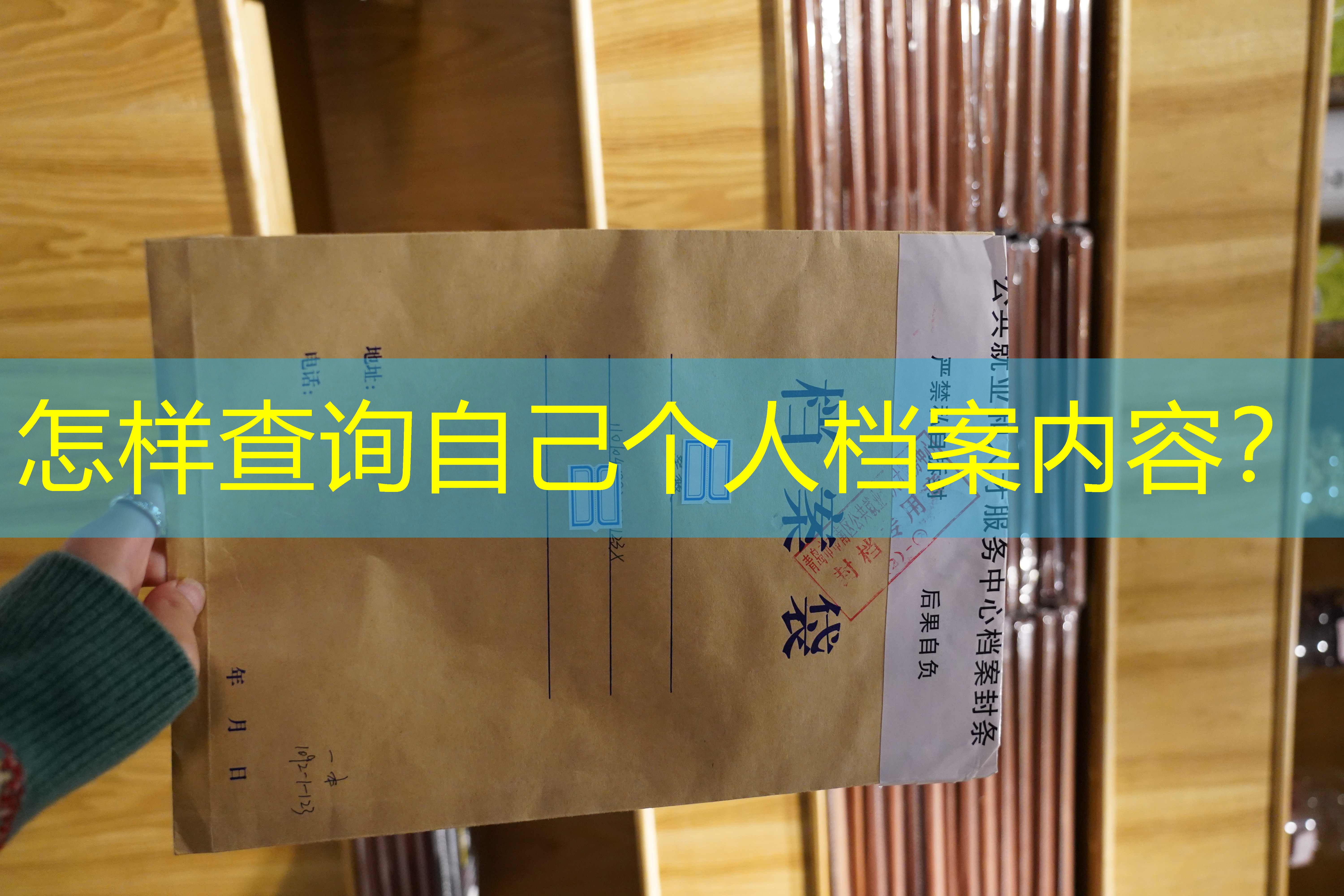 档案查询