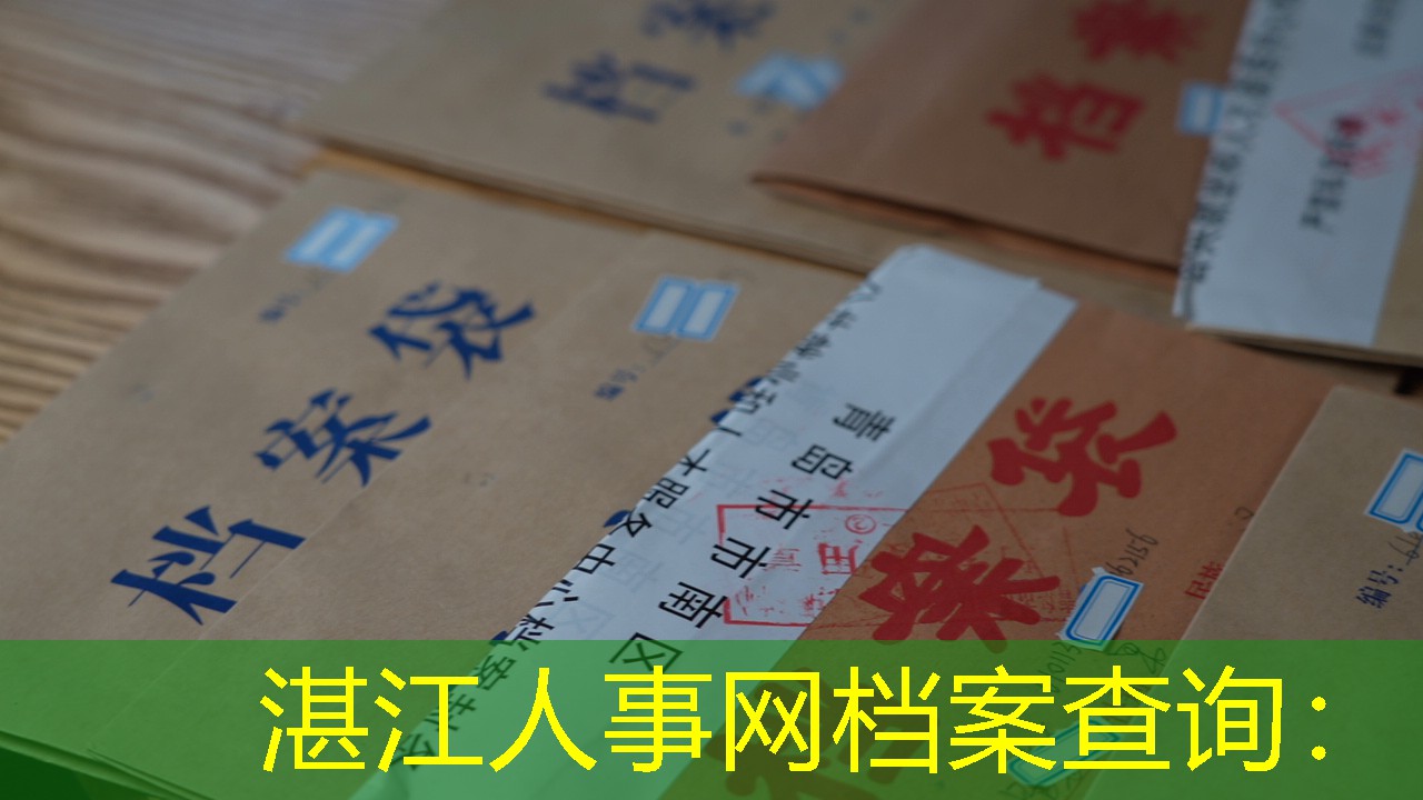 档案查询