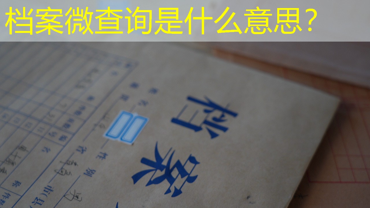 档案查询