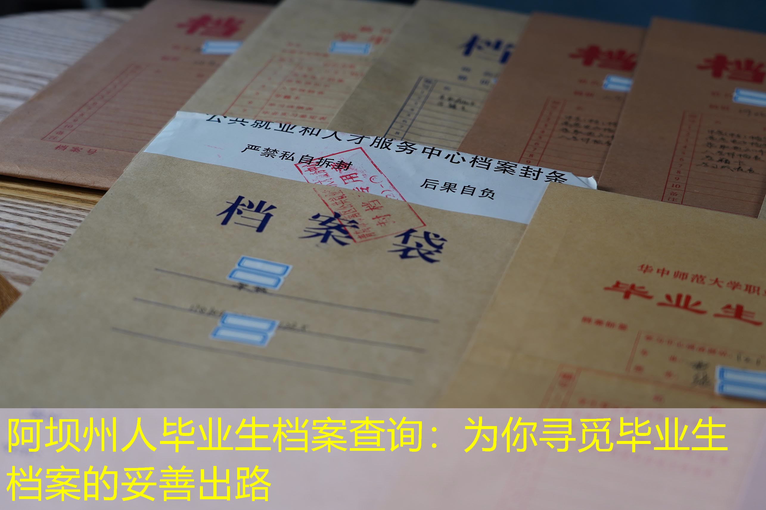 档案查询