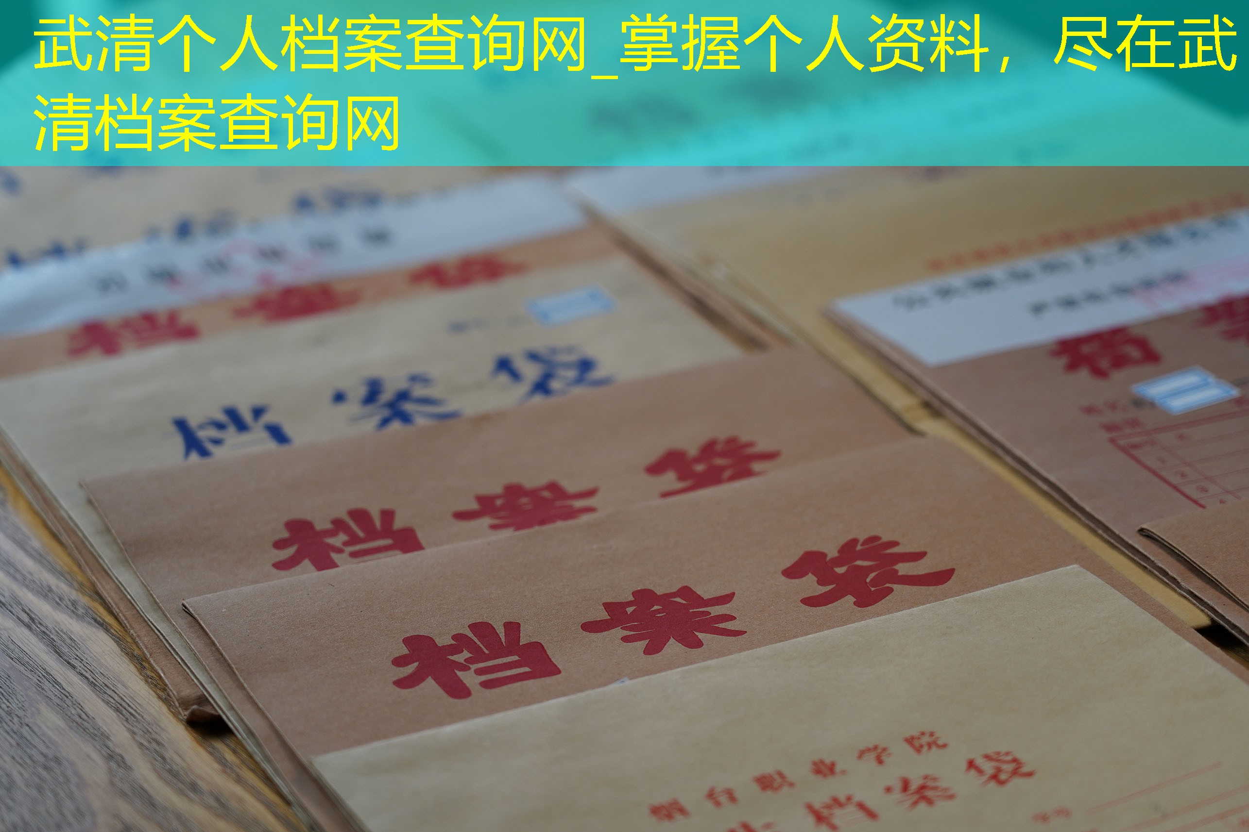 档案查询