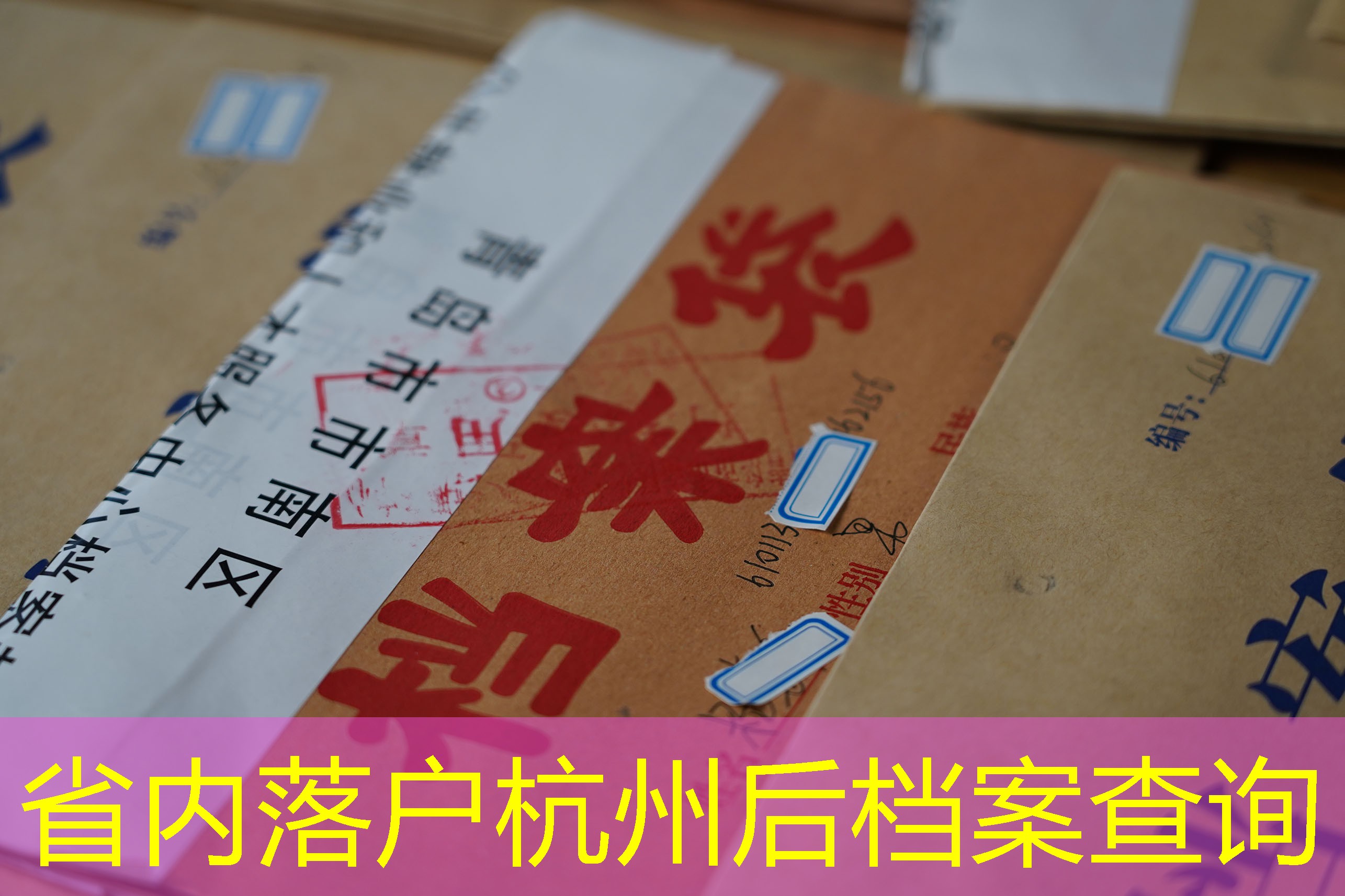 档案查询