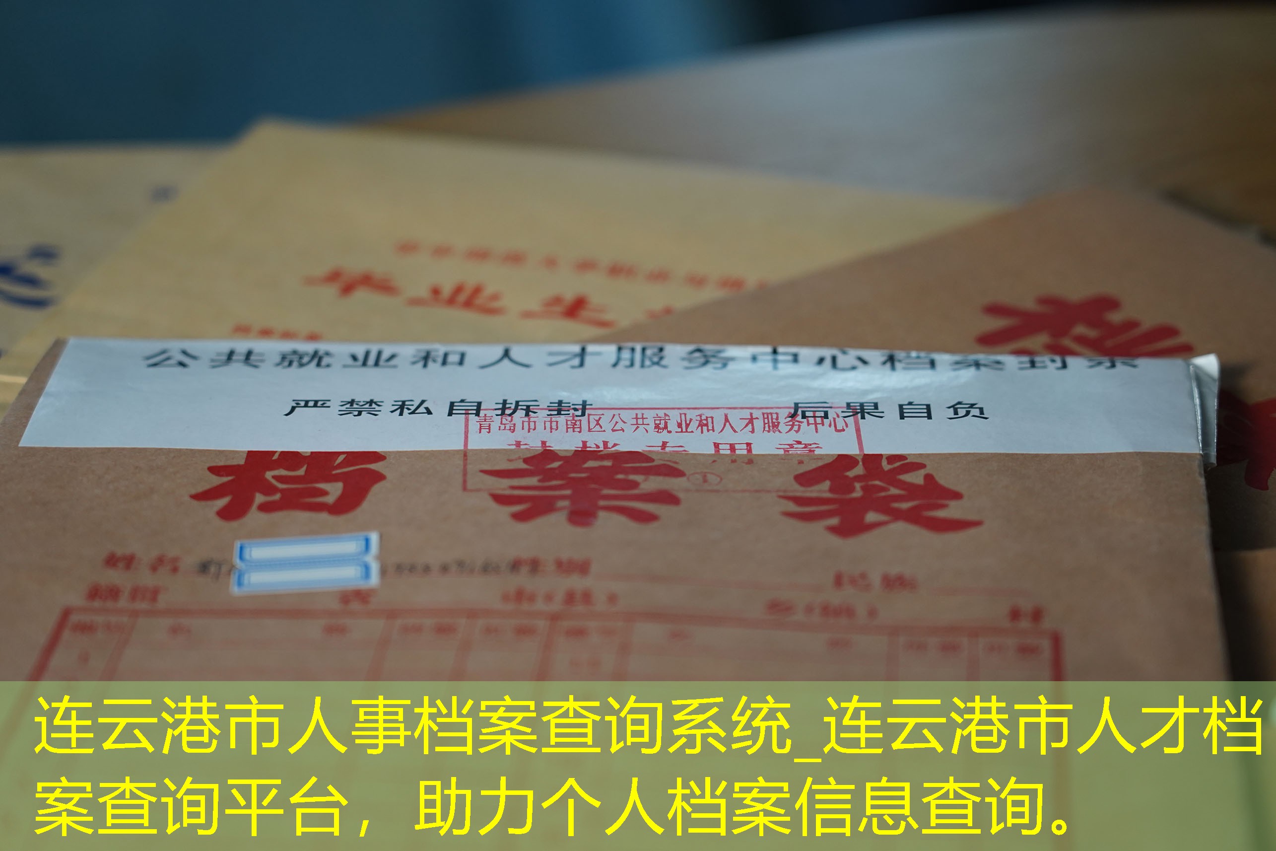 档案查询
