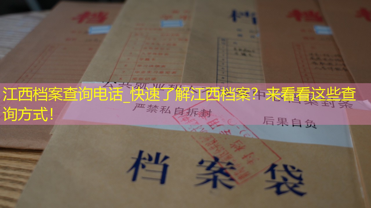 档案查询