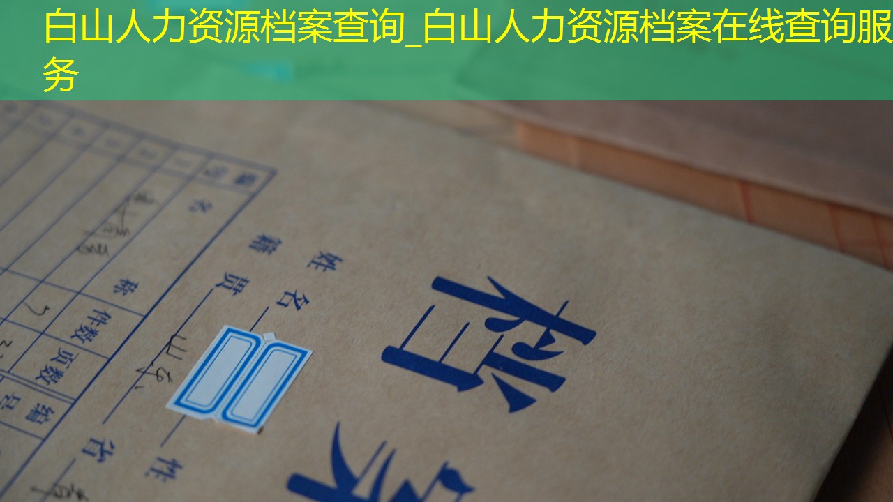 档案查询