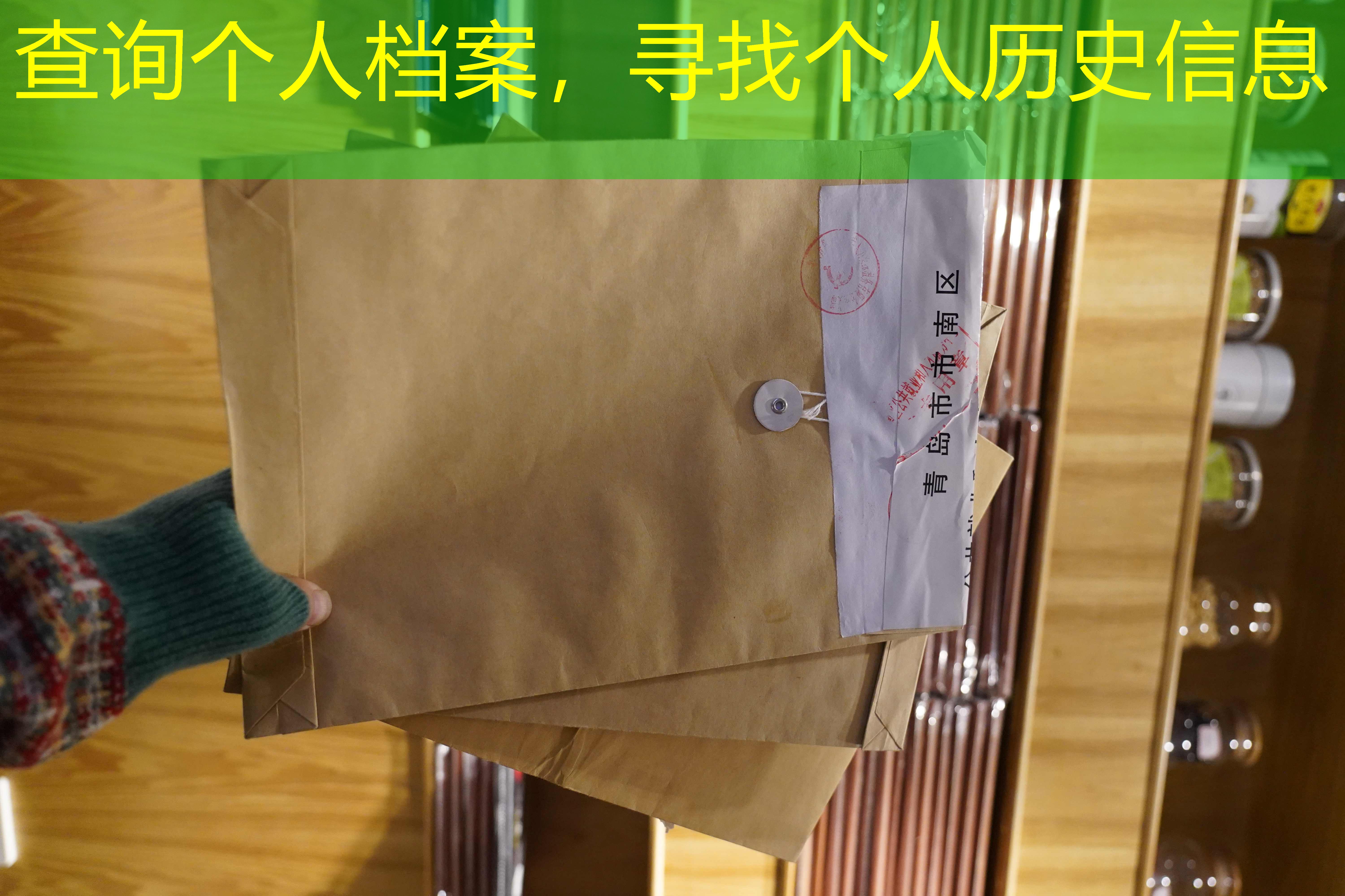 档案查询