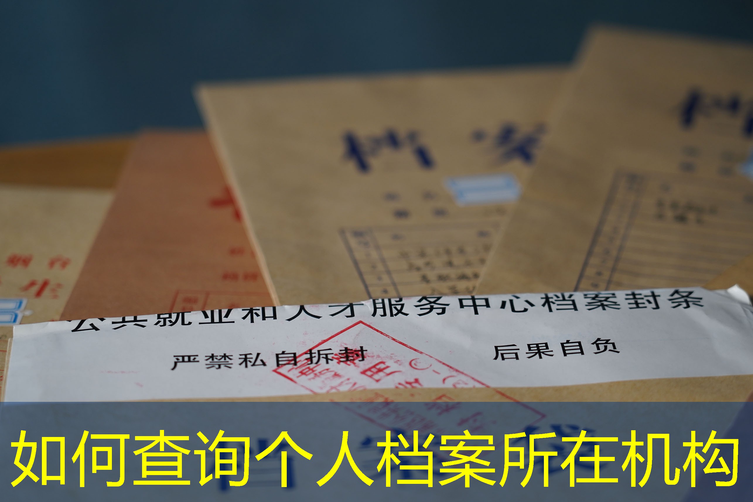 档案查询