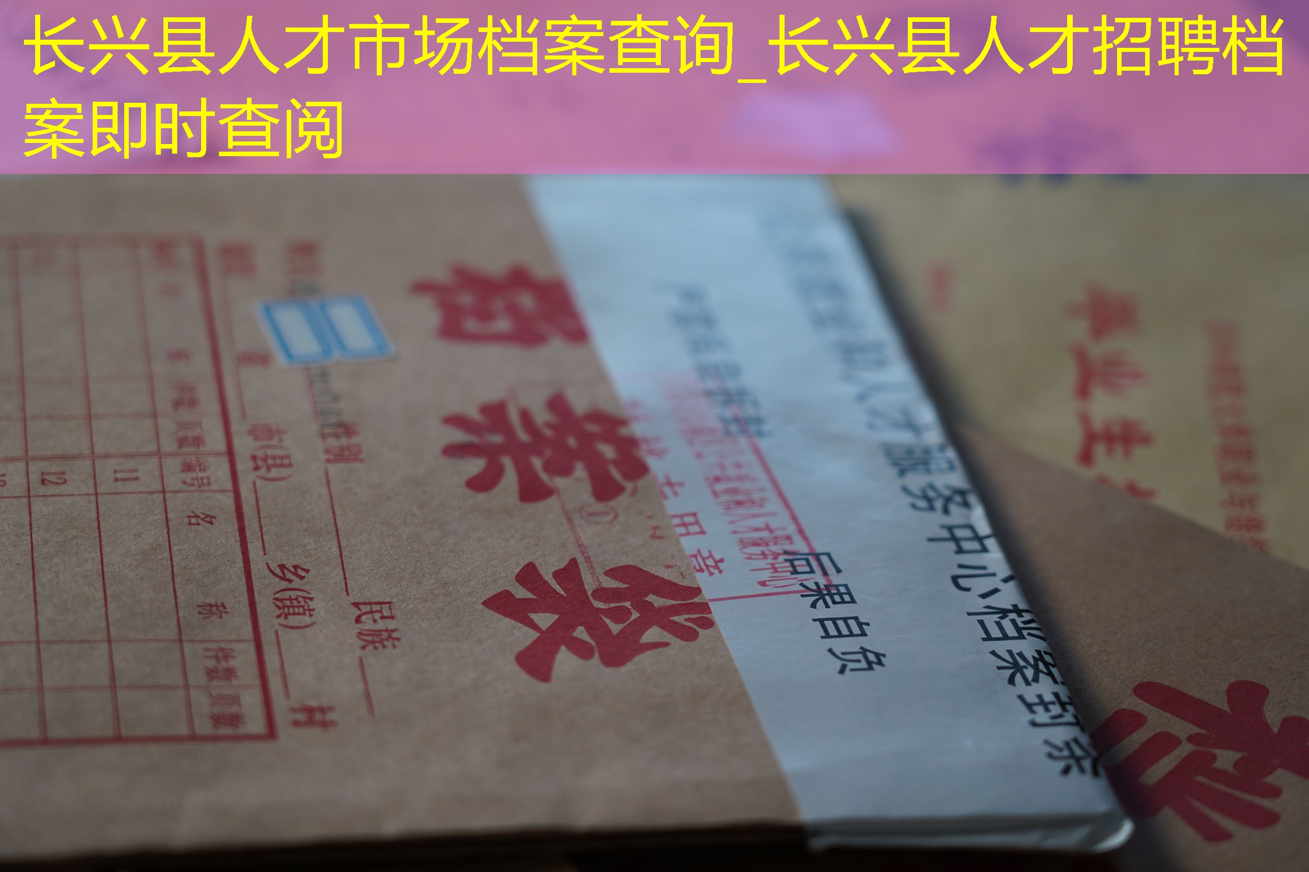 档案查询