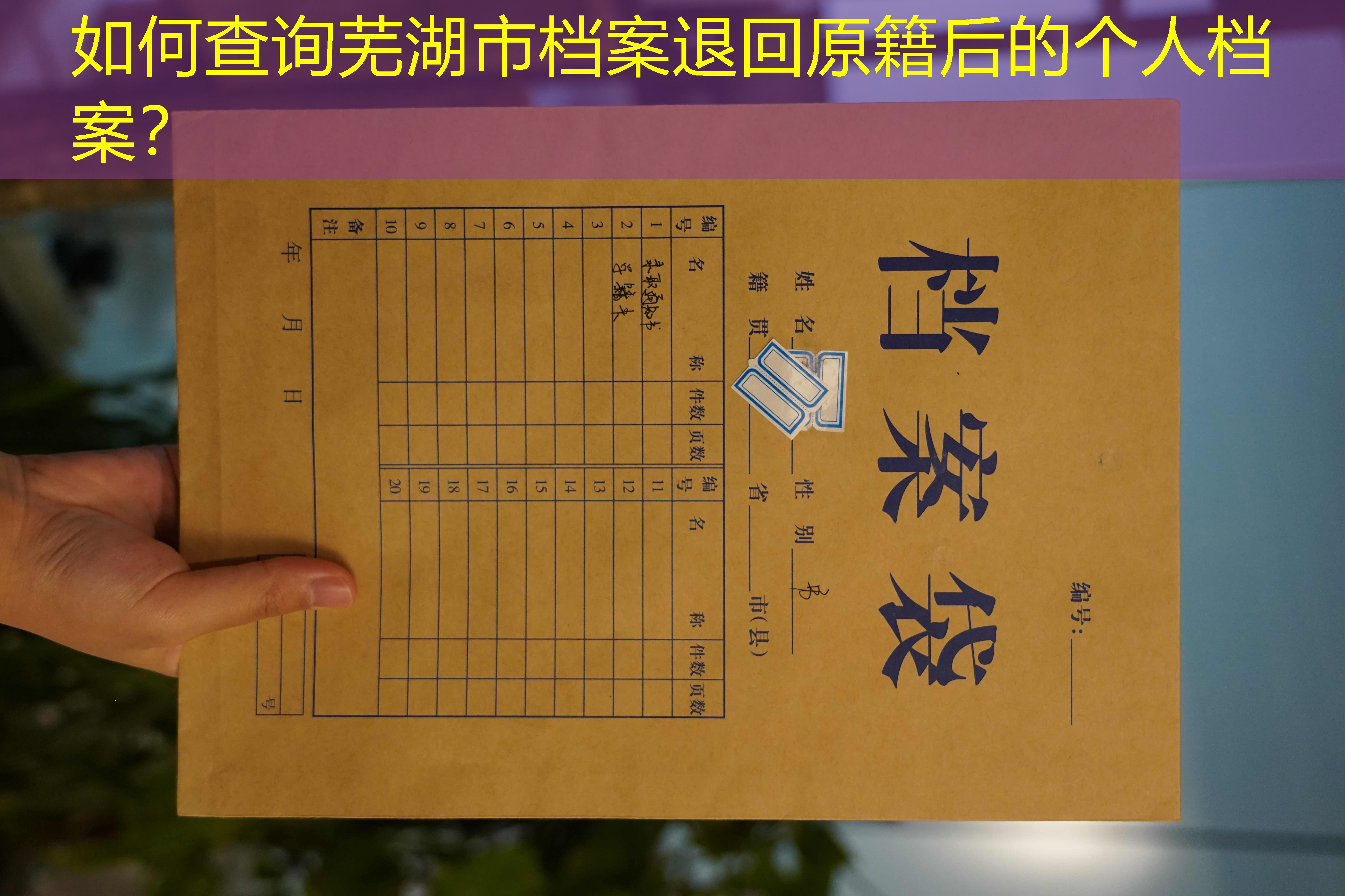 档案查询