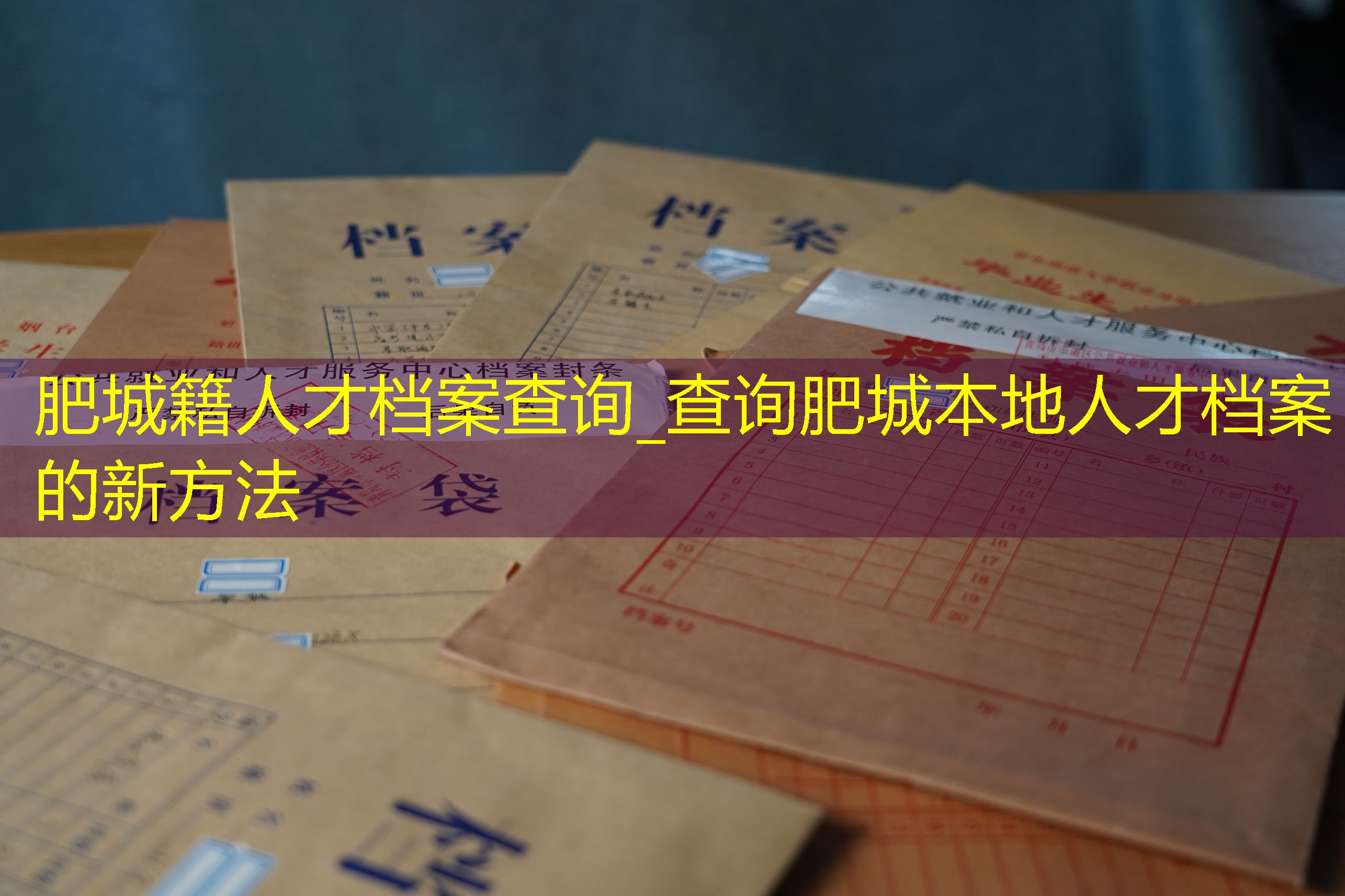 档案查询