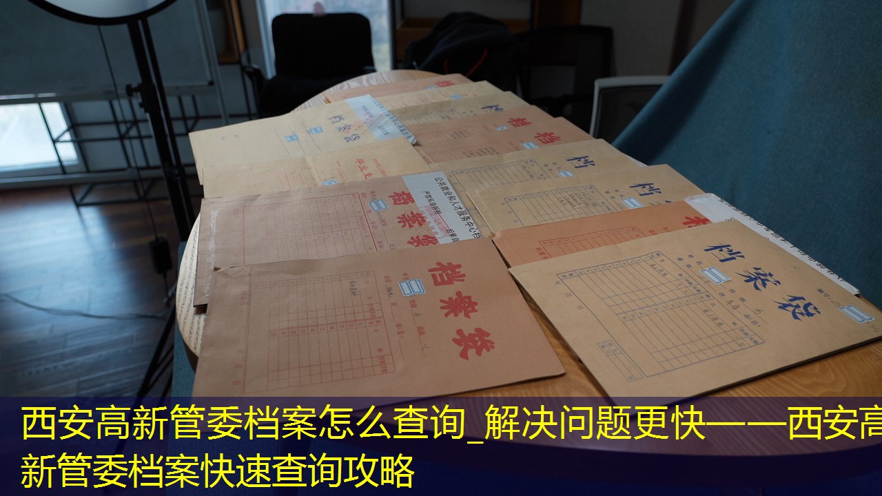 档案查询