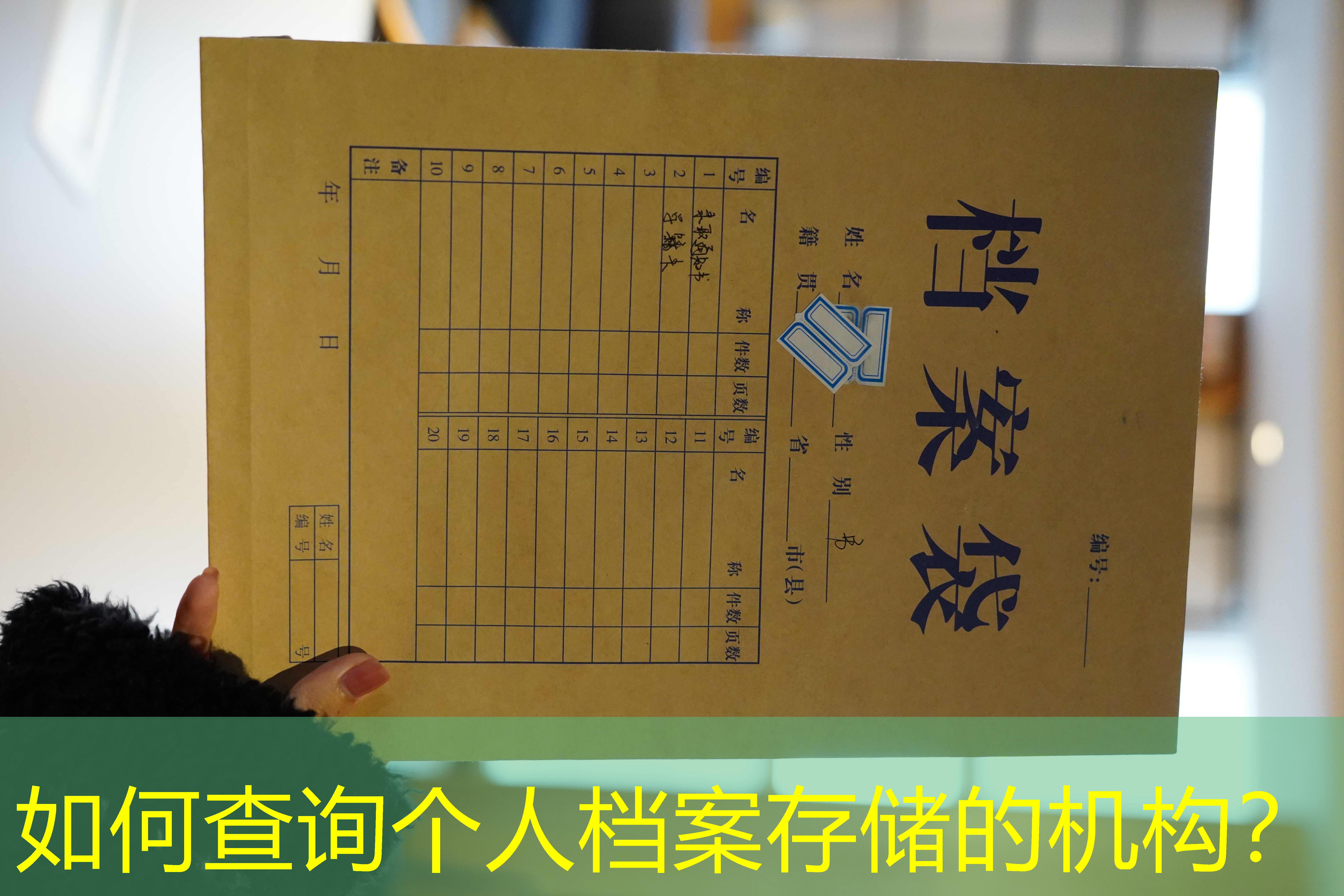 档案查询