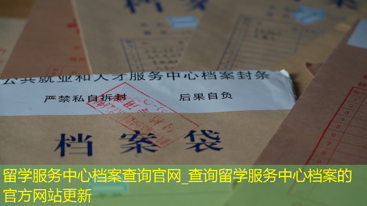 档案查询